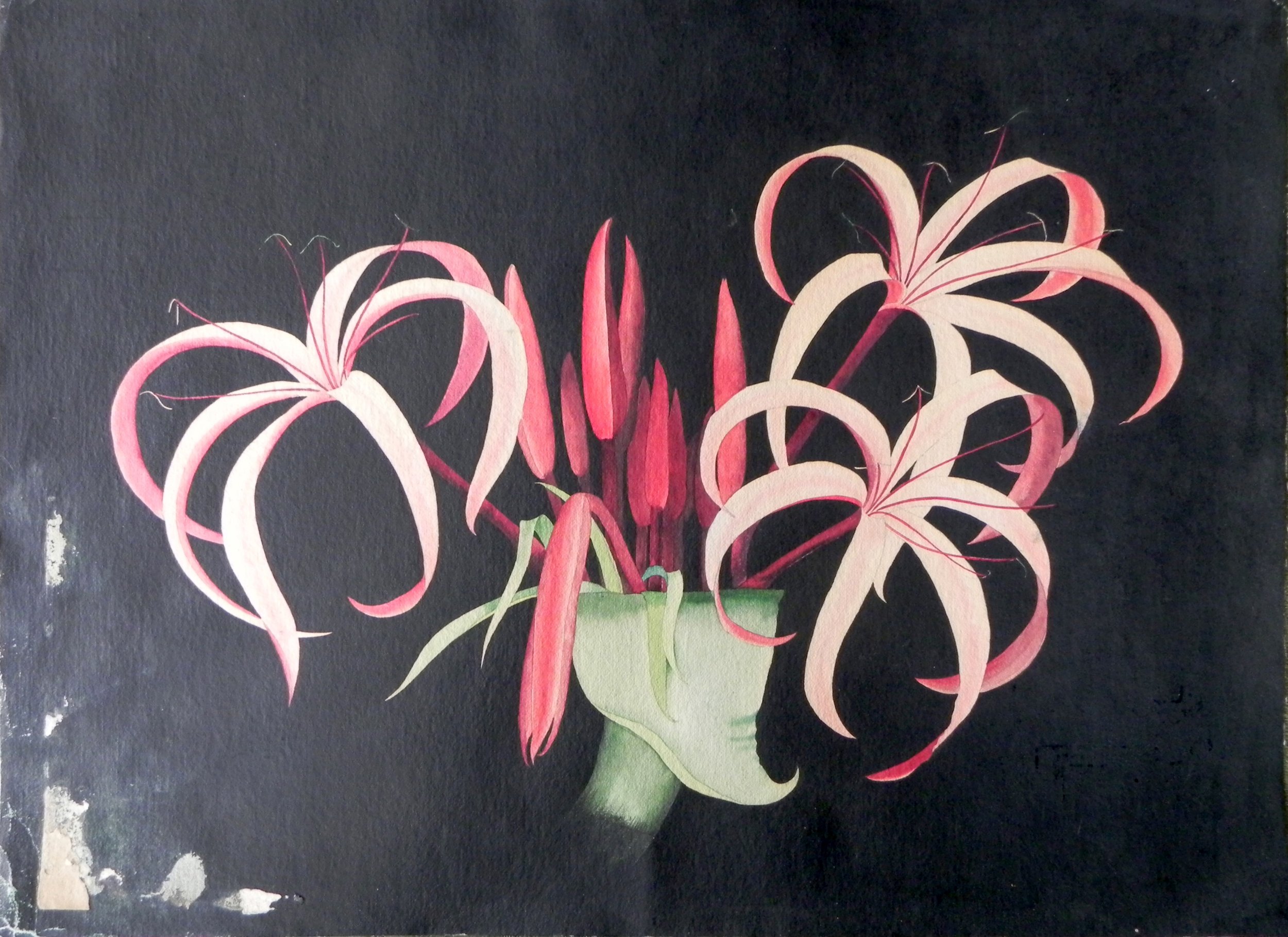 Untitled floral. 20 x 26 ¼”