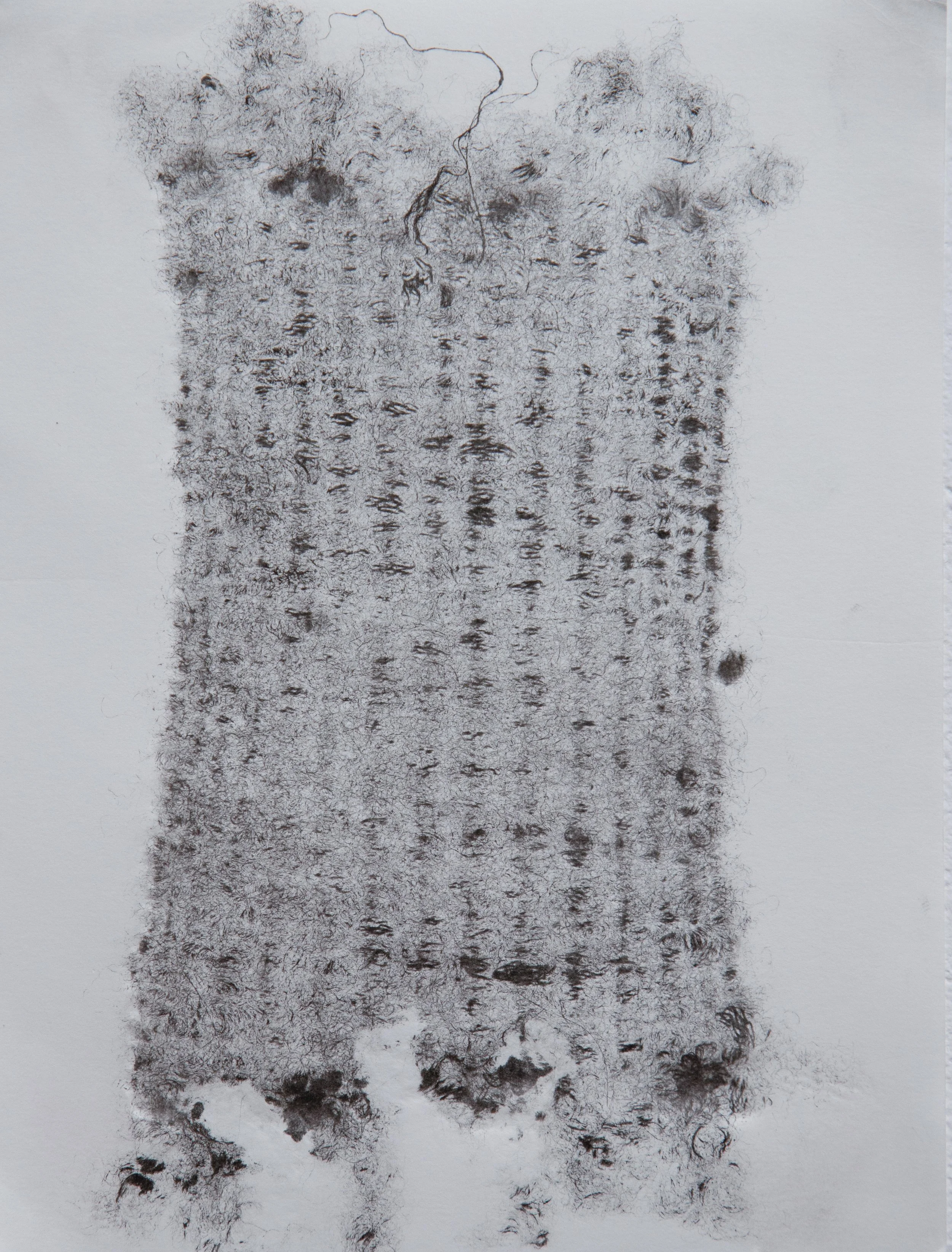 noga15.jpg