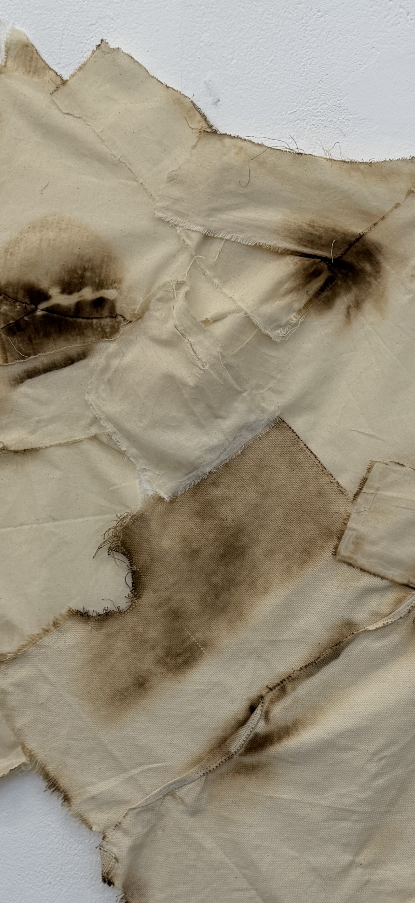Close-up of a collage of worn, stained, and aged pieces of cloth or paper with frayed edges and dark spots, arranged against a plain background.