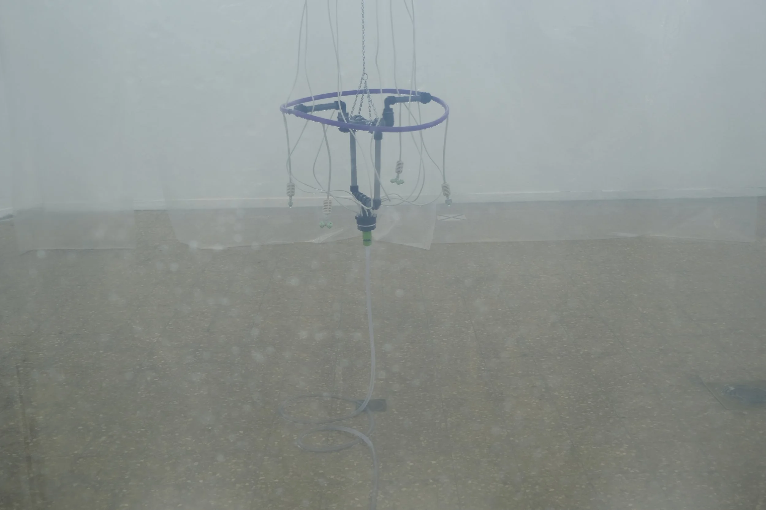 DSCF5129.JPG