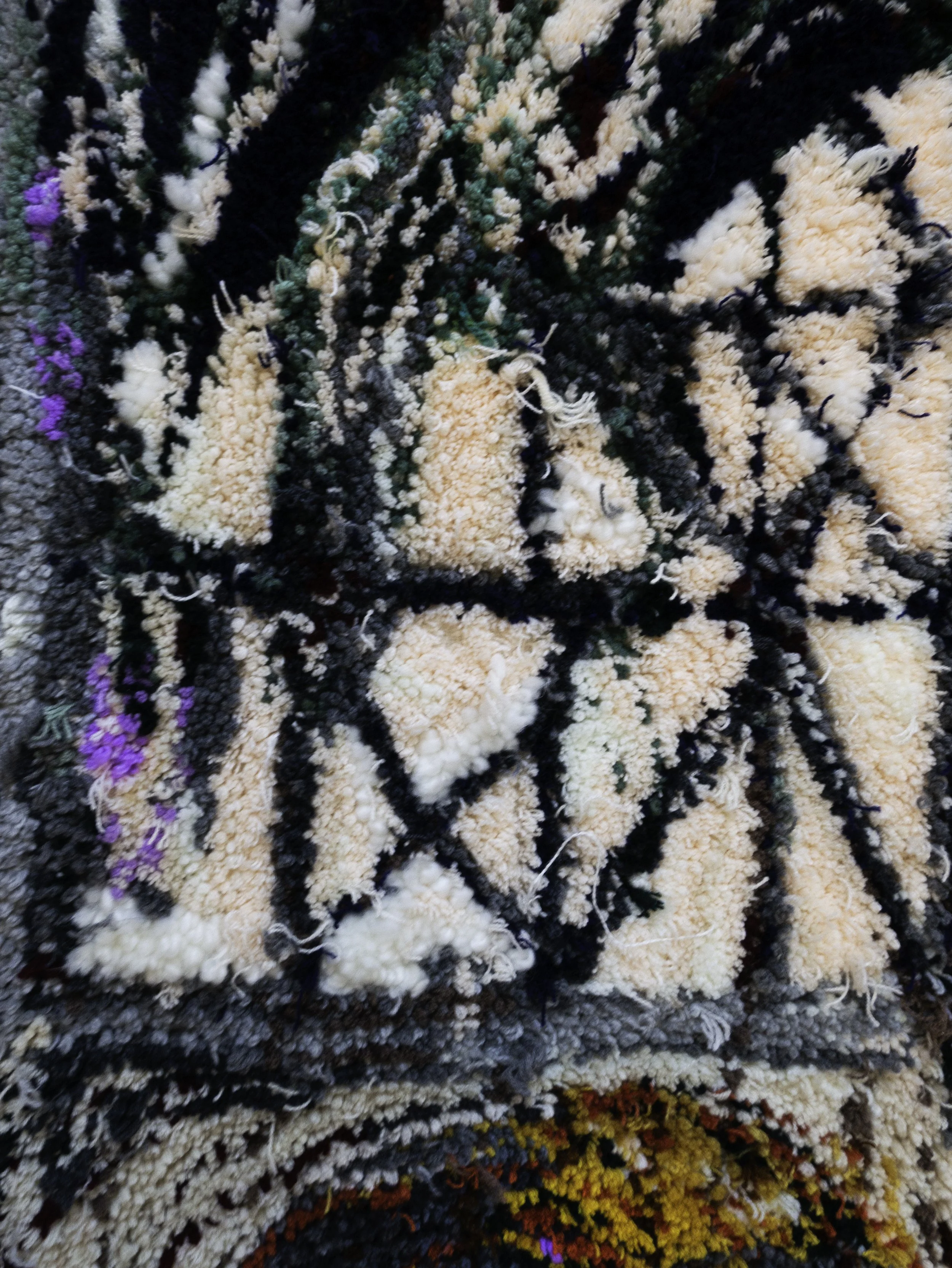 hadar_pn_detail_01.jpg