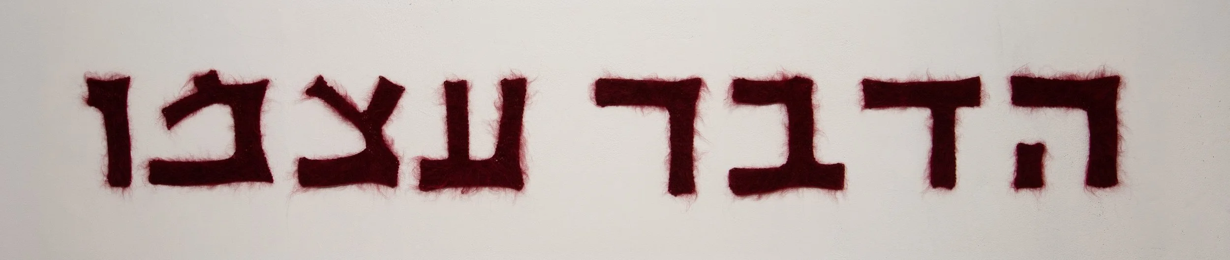 noga22.jpg