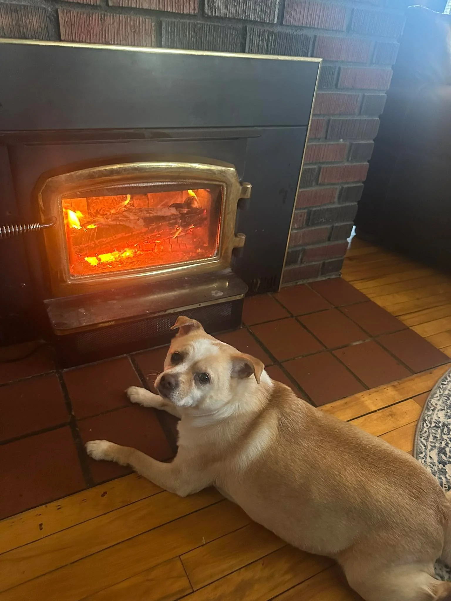 Finn loves the 🔥