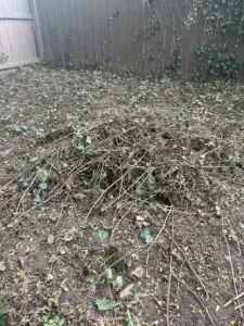 70395580667__B0B03E23-AF4B-4F4F-A418-06118B65BBCA-225x300 (1).jpeg