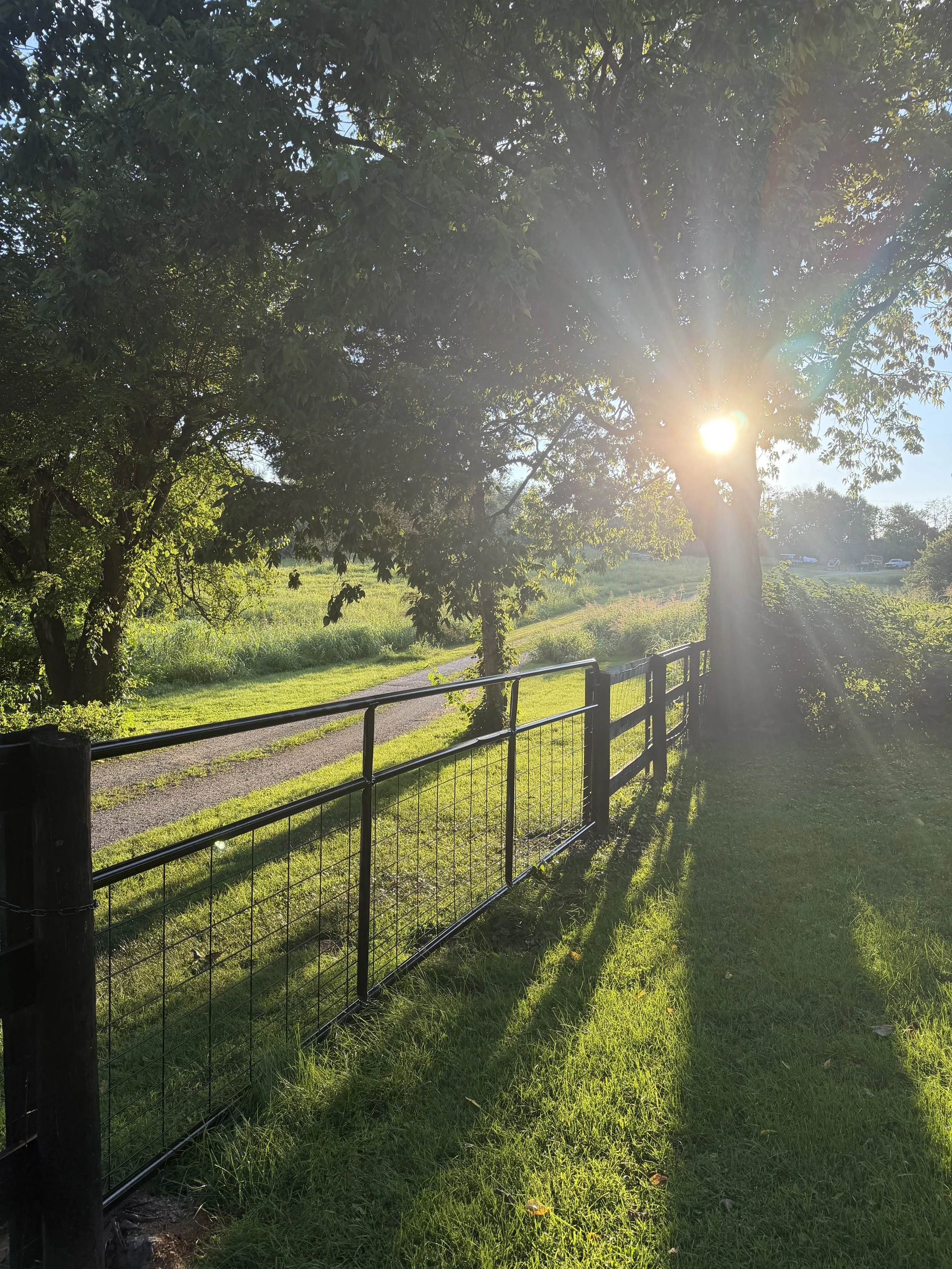 The Many Benefits of Earthing