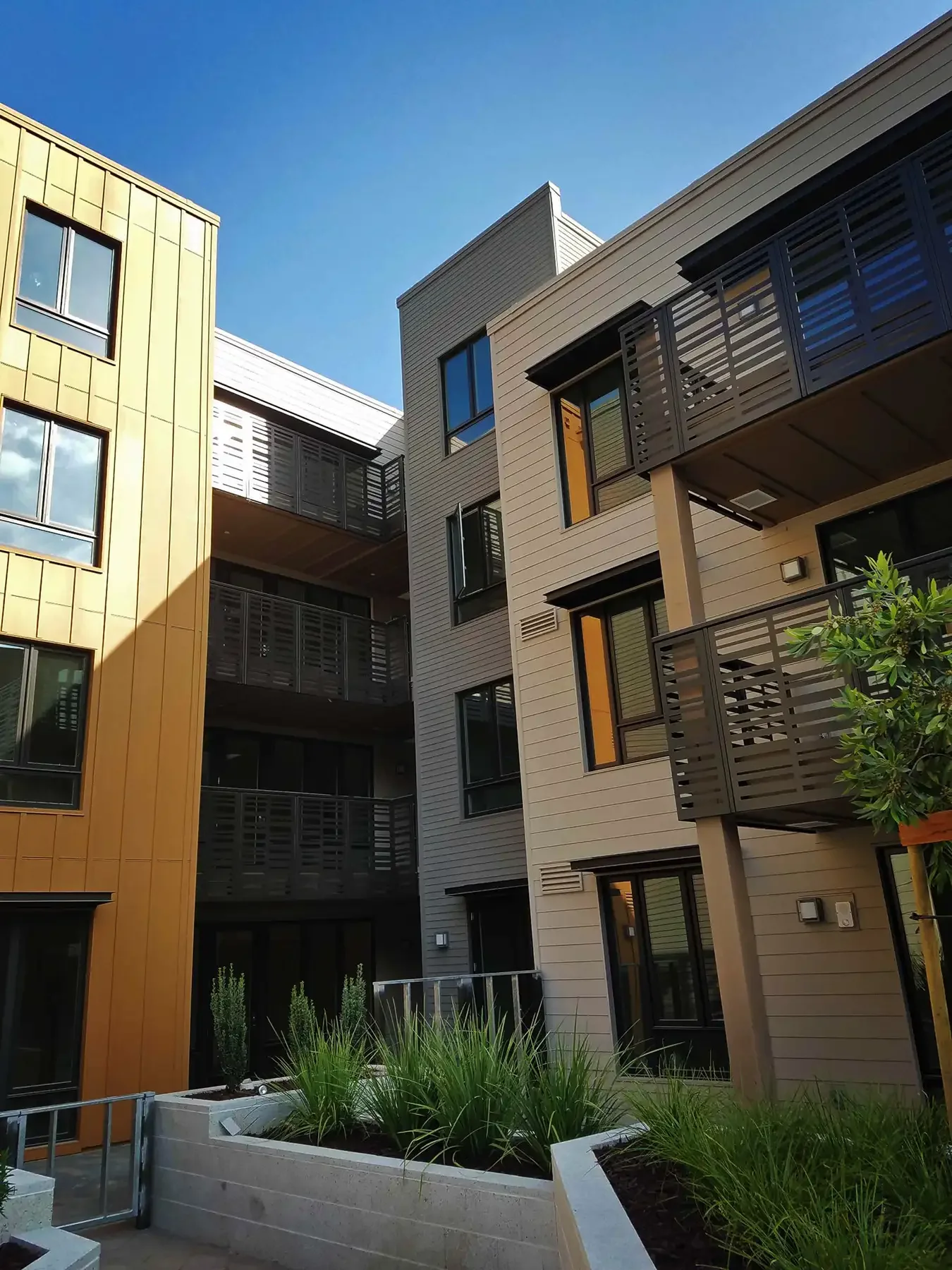 in the university terrace courtyard