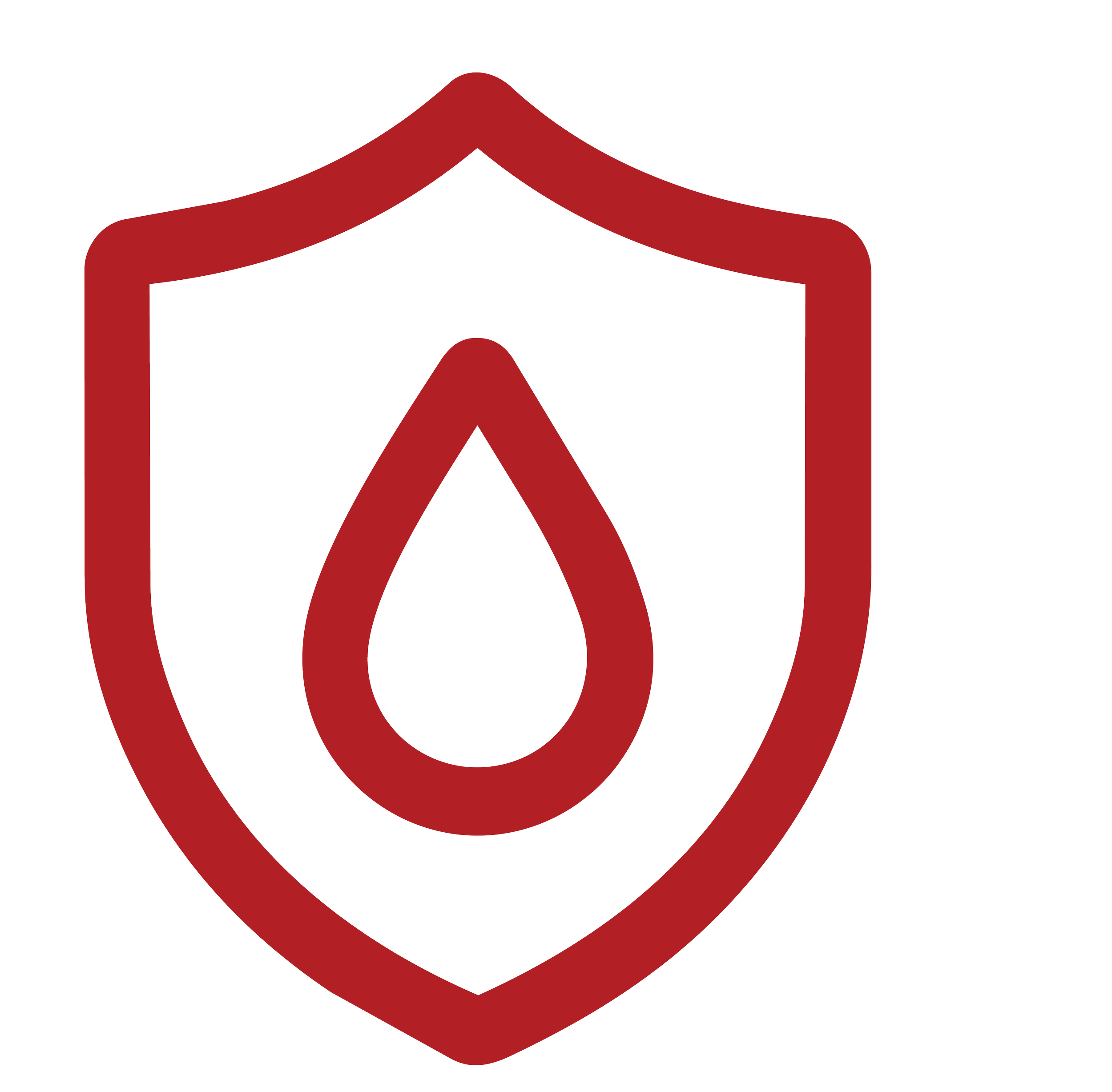Shield icon representing emergency medicine, trauma care, and whole blood transfusion programs.