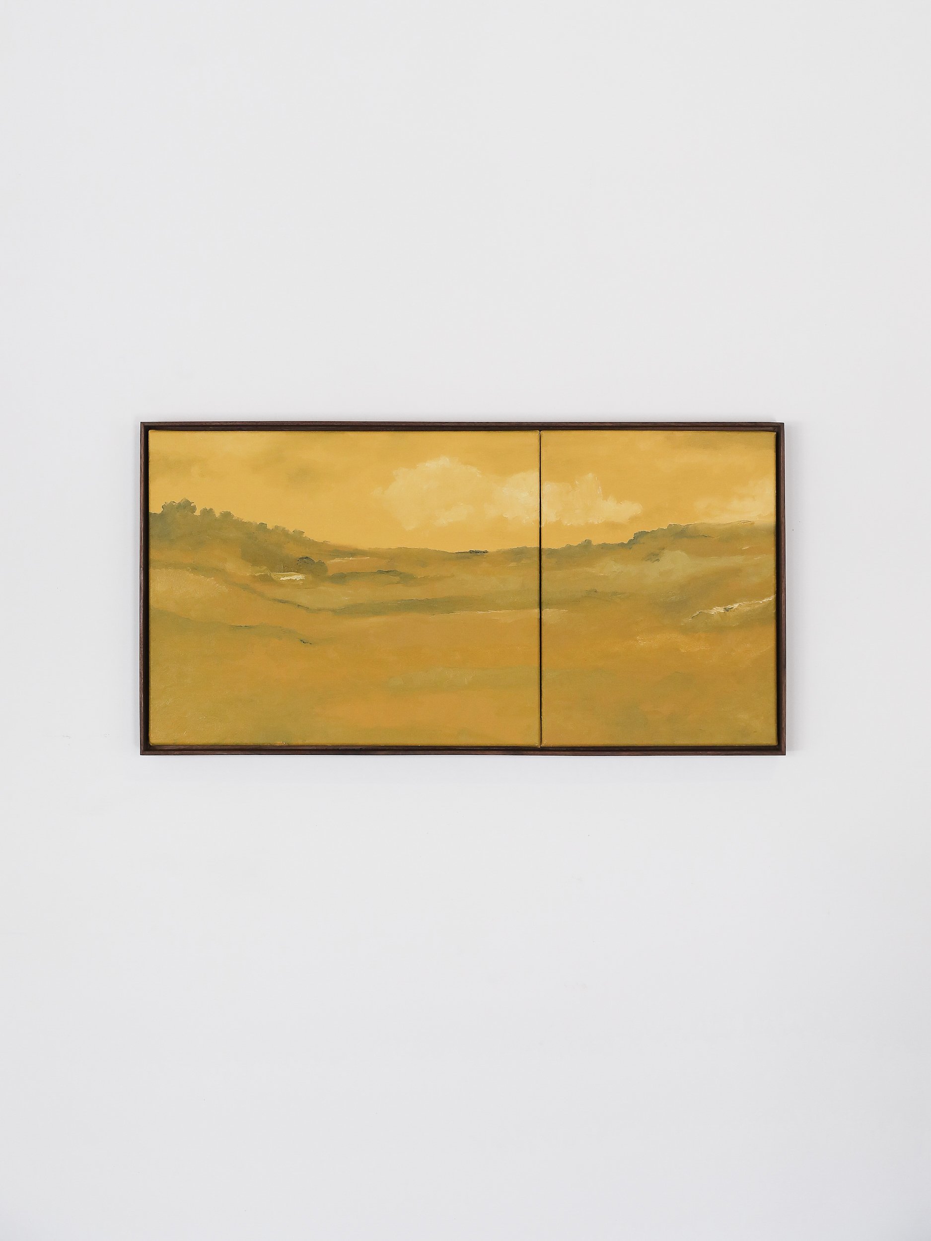 Yellow Ochre Fields
