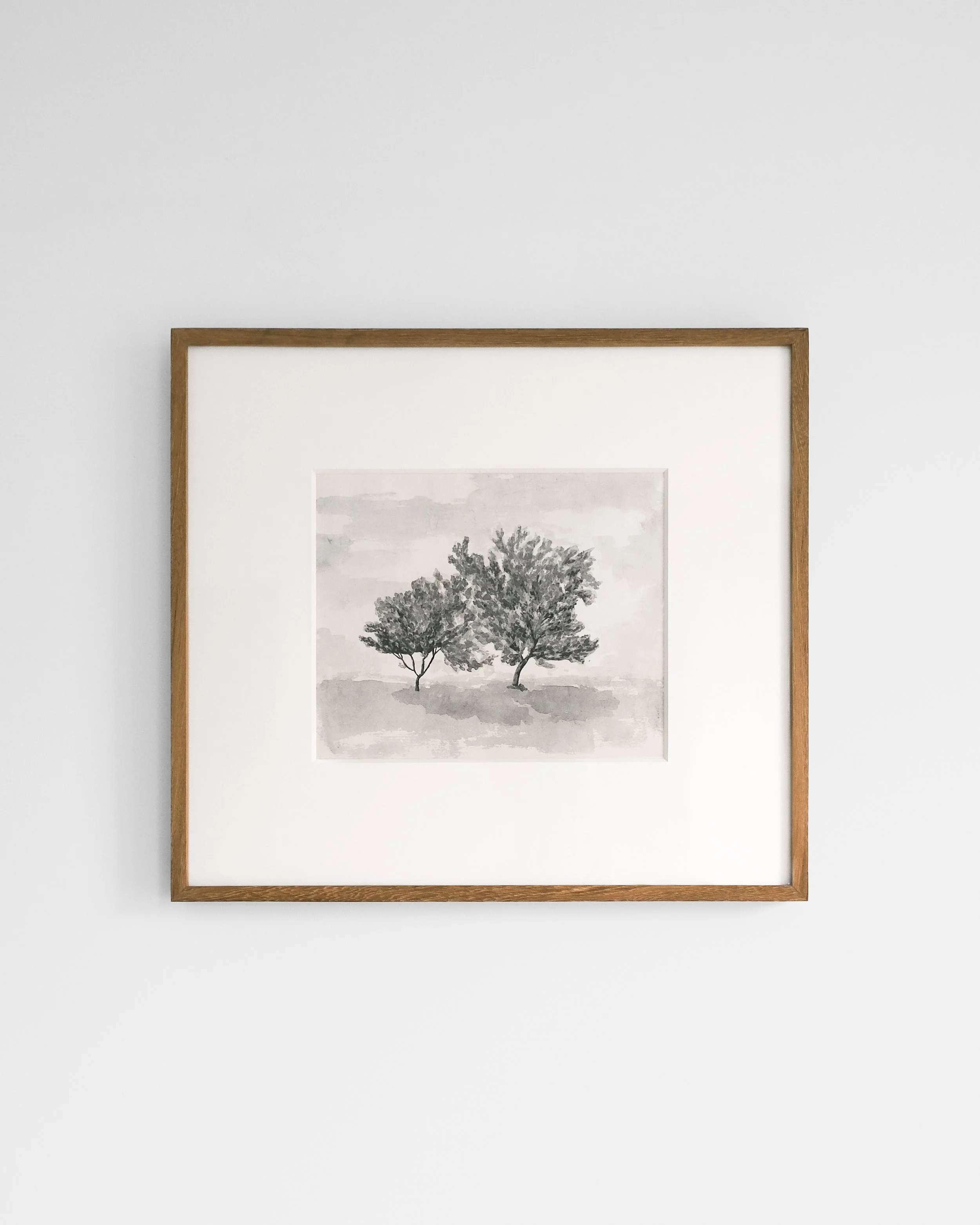 Abricot Trees