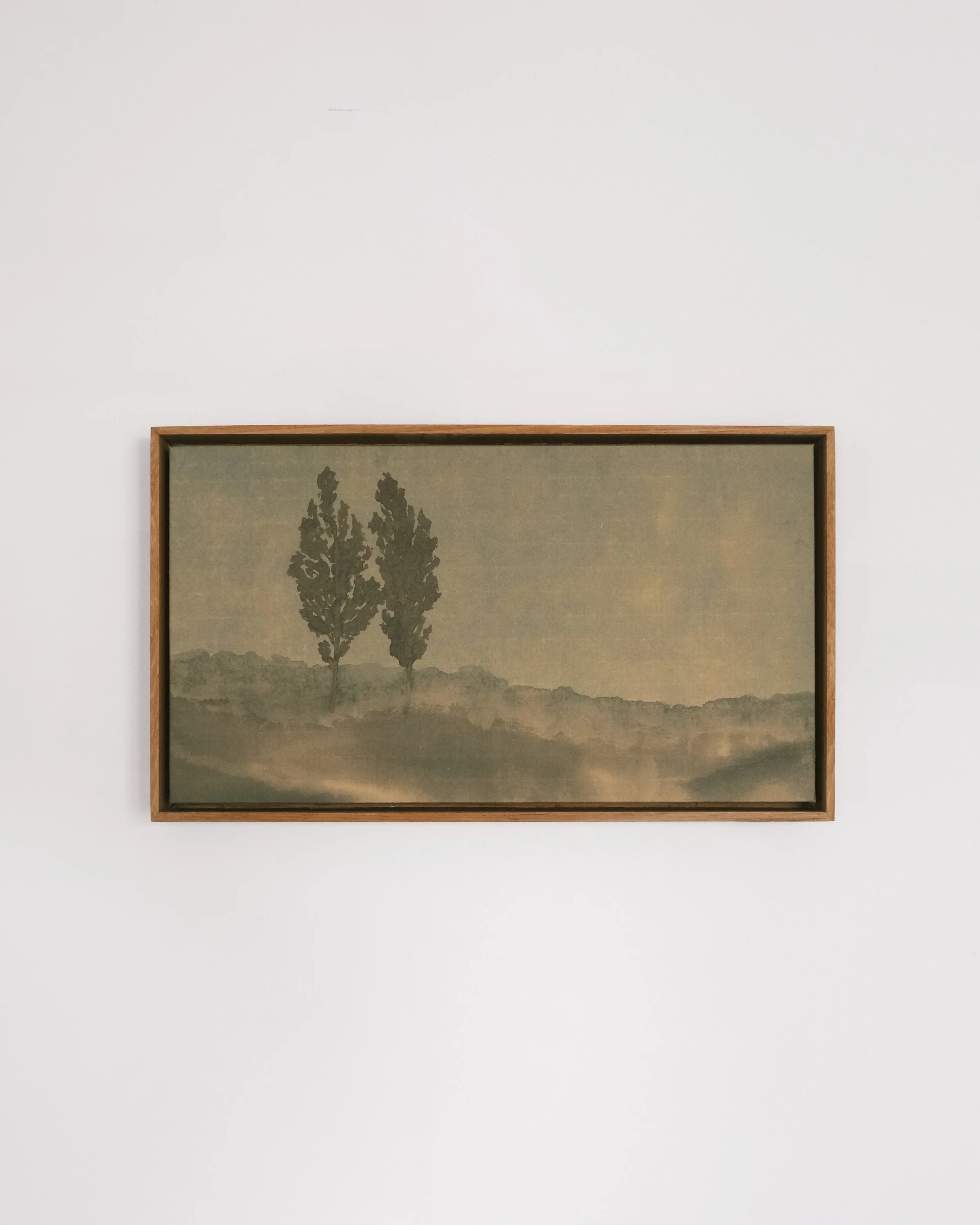 Poplars in May (2026)