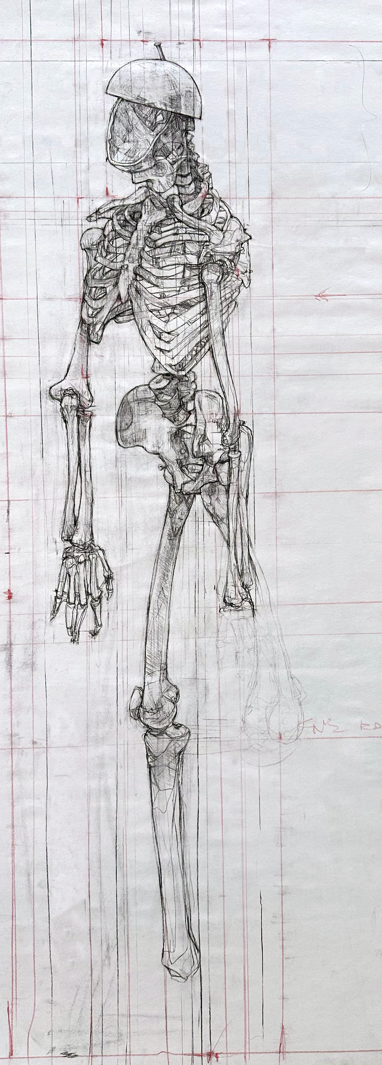 skeleton dewrinkle.png