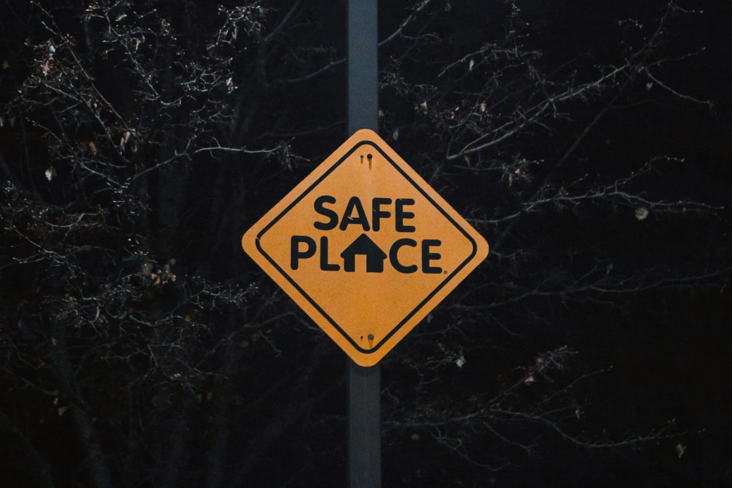 A yellow diamond-shaped traffic sign with black text reading 'SAFE PLACE' and a house icon, attached to a black pole at night with trees in the background.
