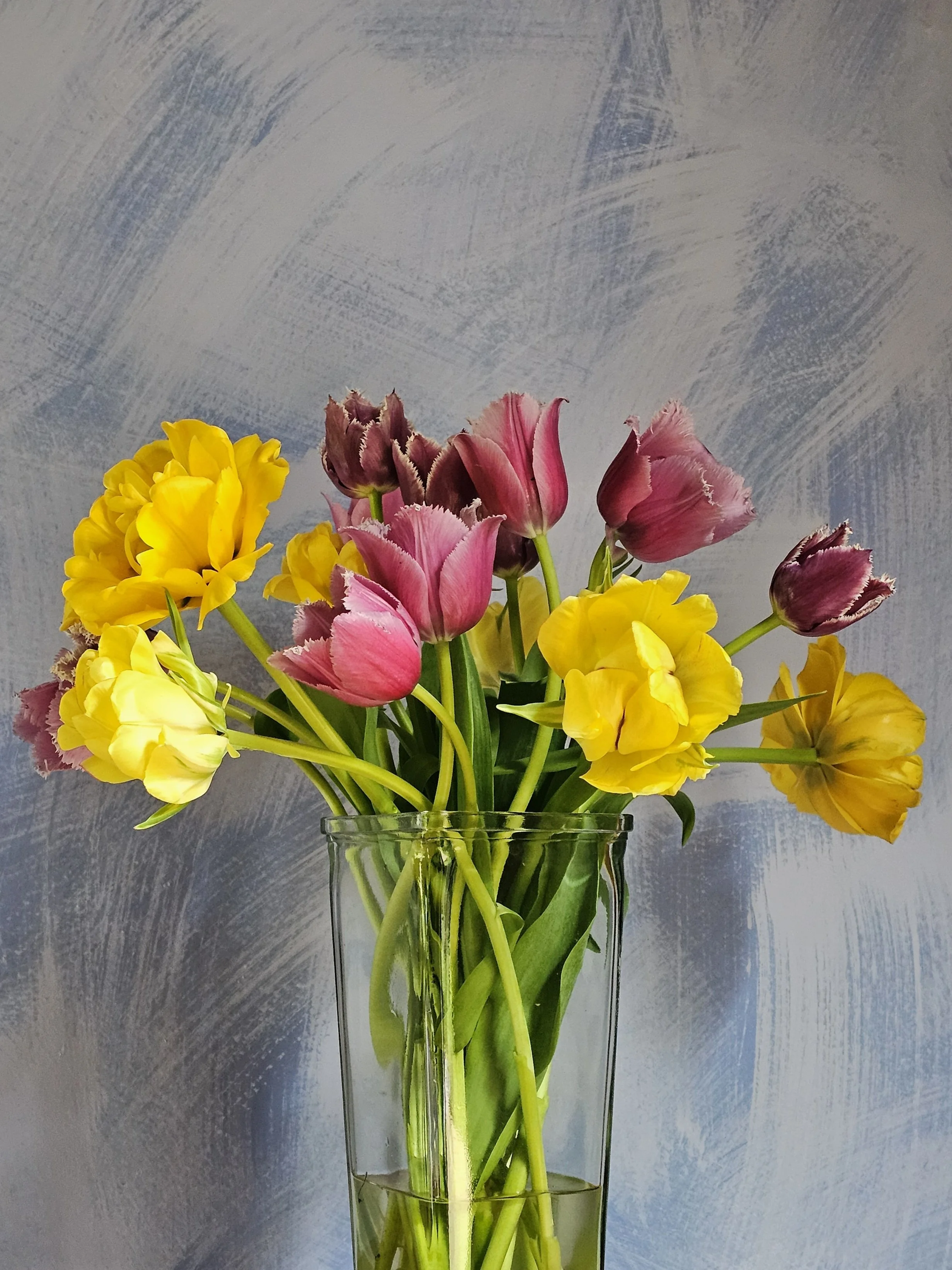 Tulip Subscription