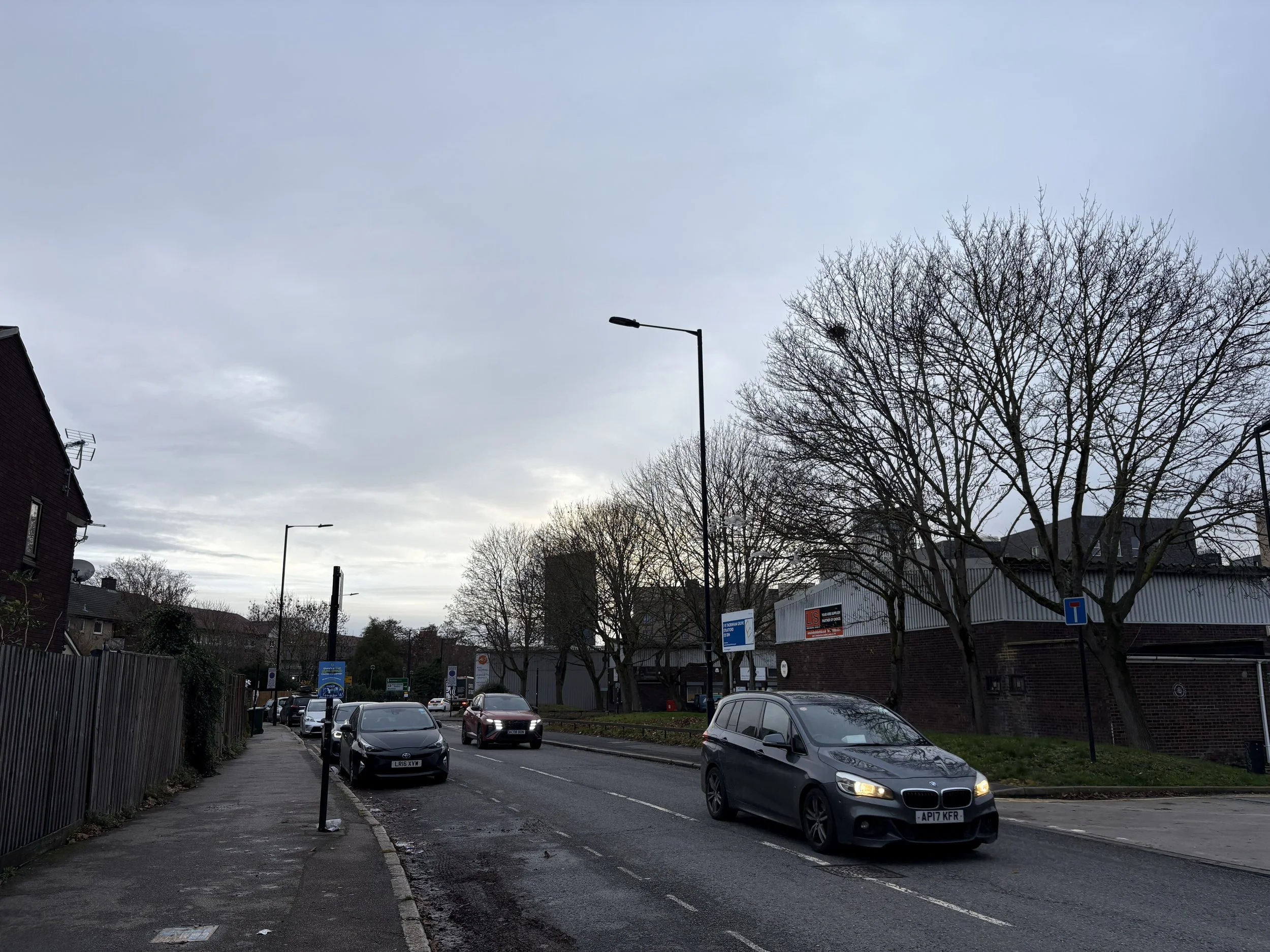 A street scene with parked cars, leafless trees, street lamps, and a cloudy sky.