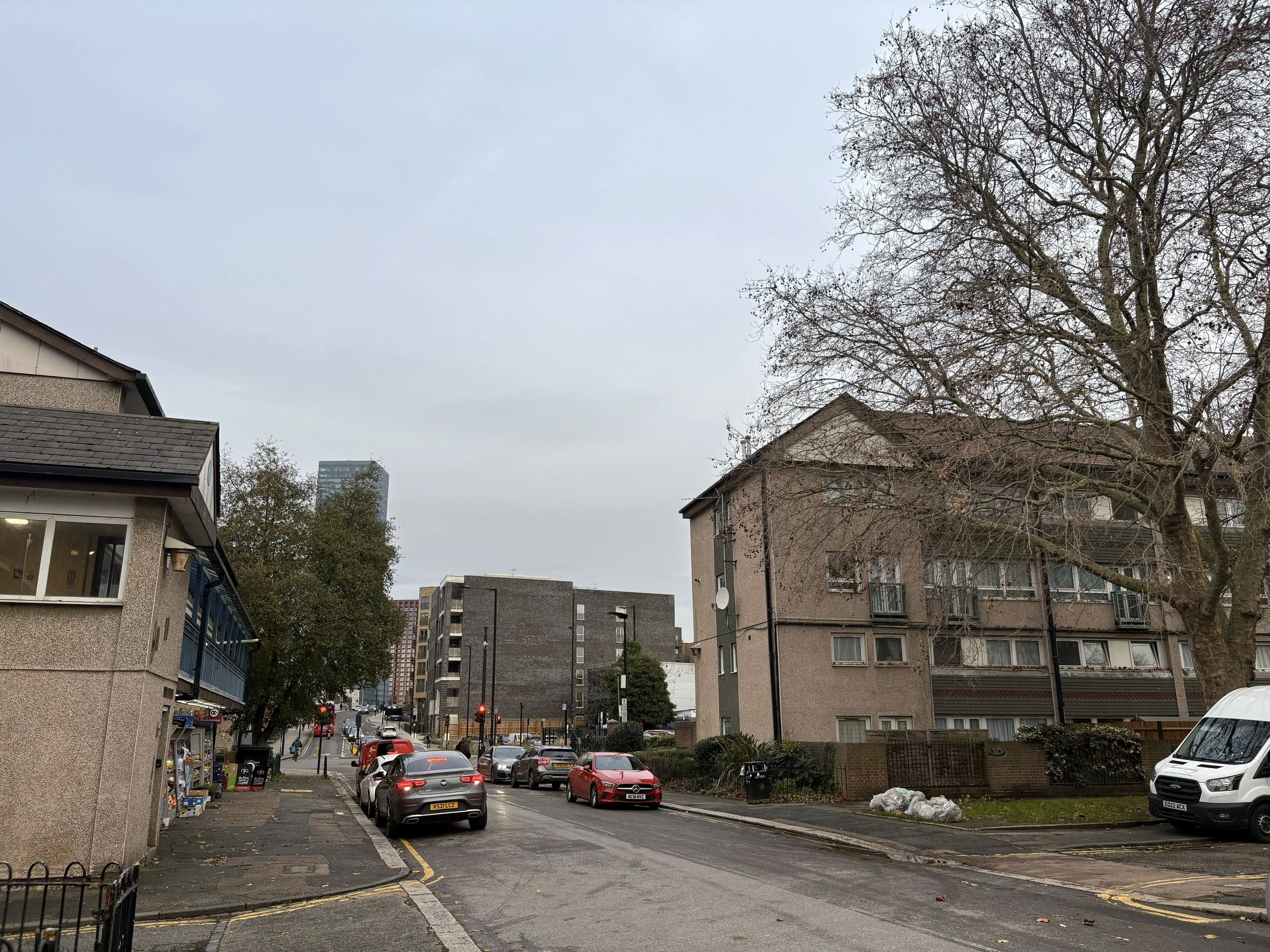 Urban street scene with parked cars, multi-story buildings, and a large tree during overcast weather.