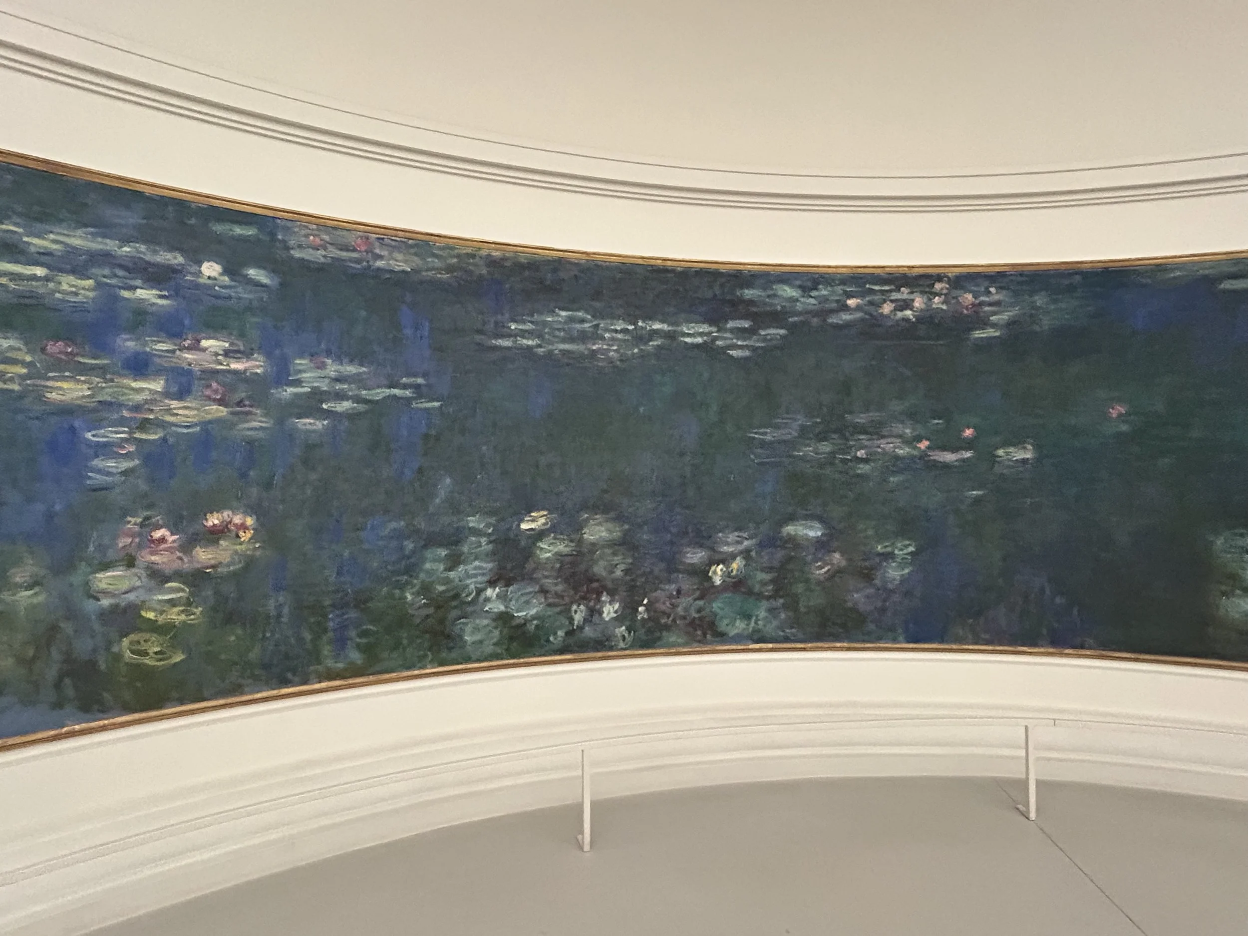 A large curved Monet painting of water lilies on a pond, hung on a white wall in the Orangerie, Paris.