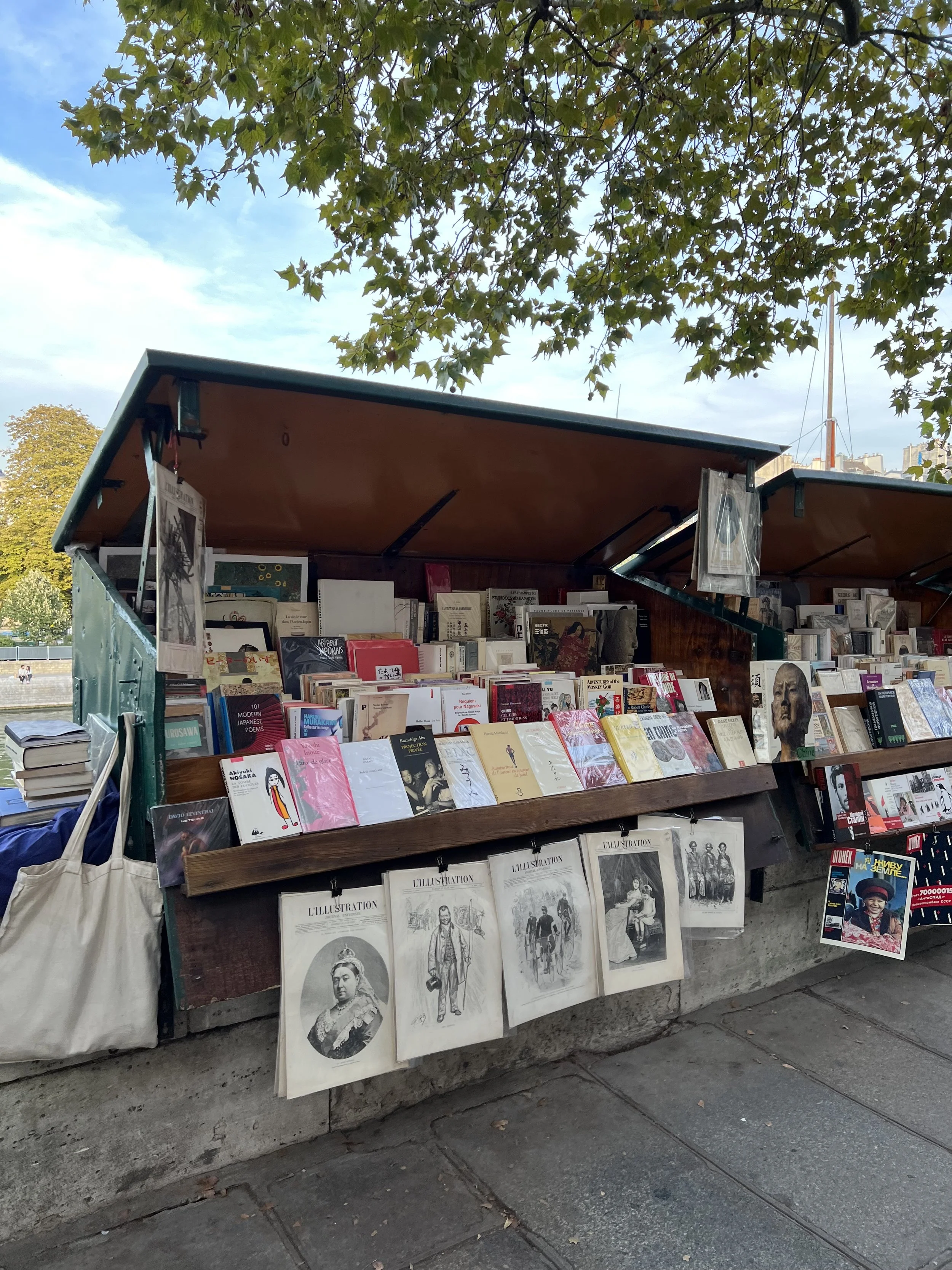 Street book stall with various books and magazines on display, under a green canopy, with trees and a clear sky in the background.