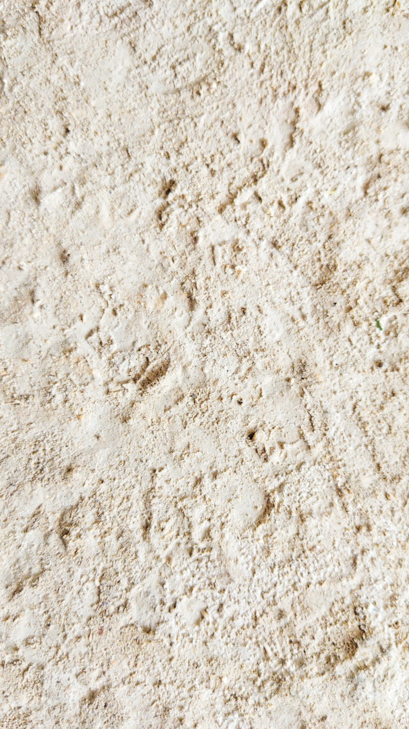 Close-up of light-colored, fine-textured sand or powder.