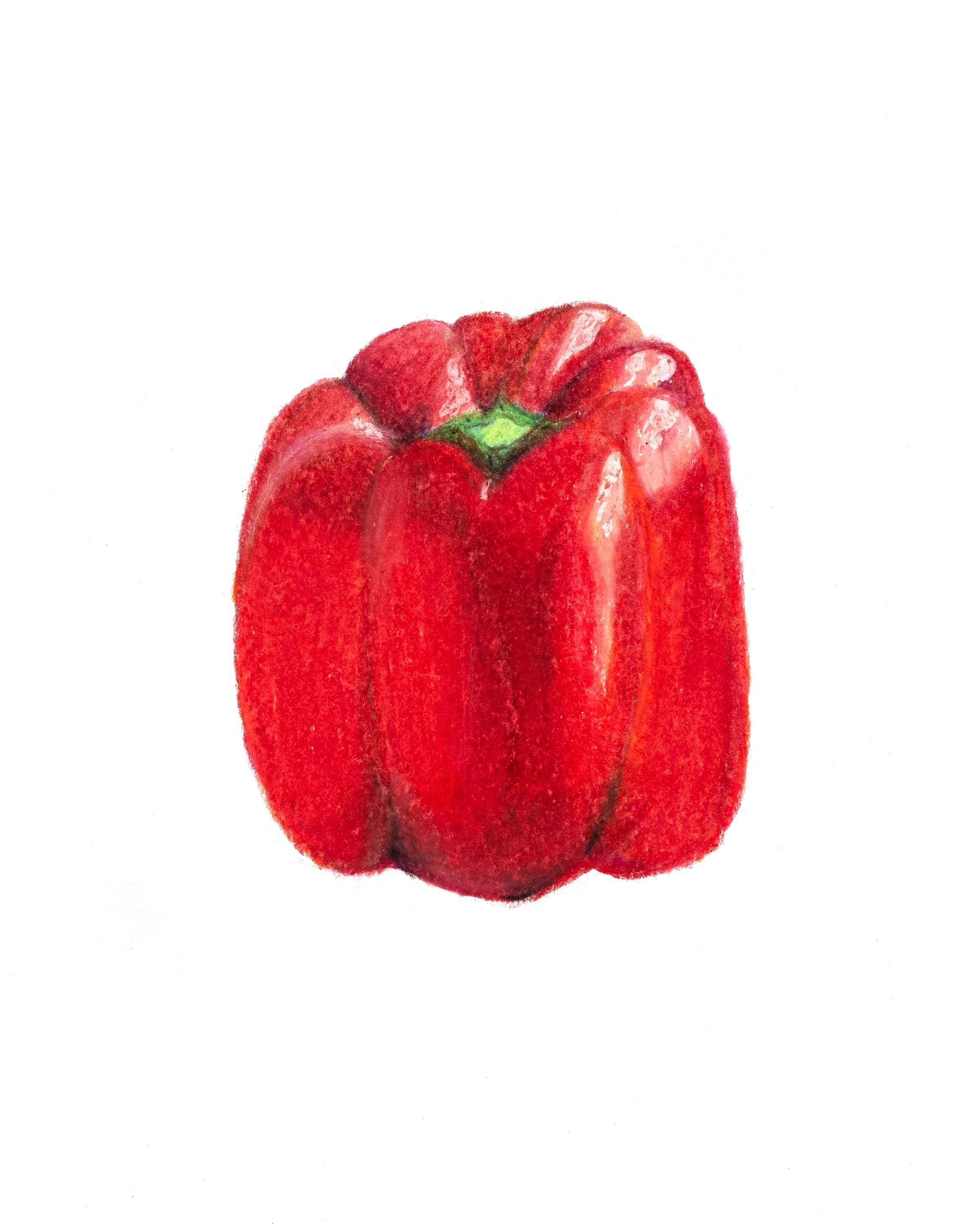 krystyna_medina_red_pepper_whole_web.jpg