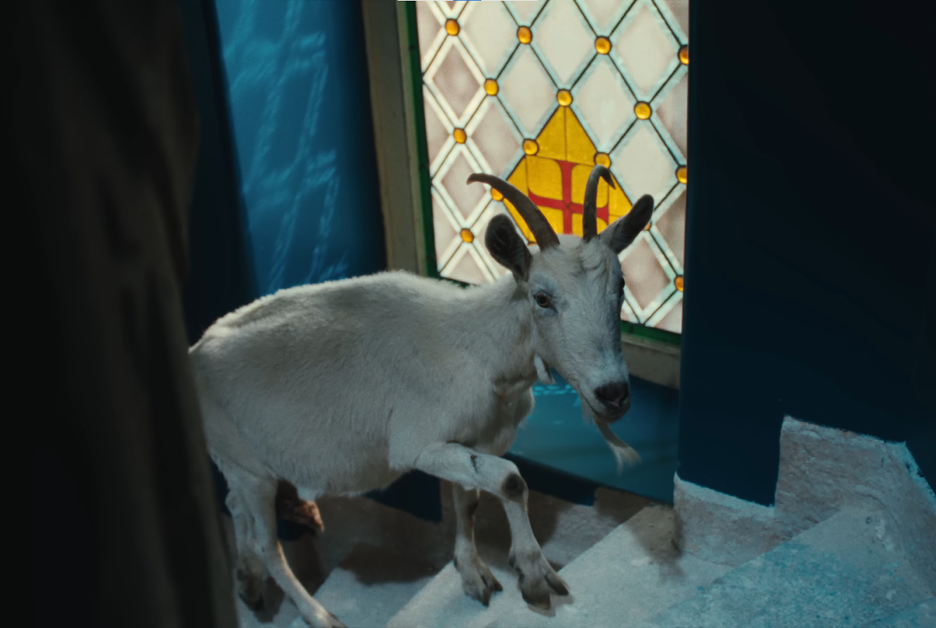 Goat walking upstairs