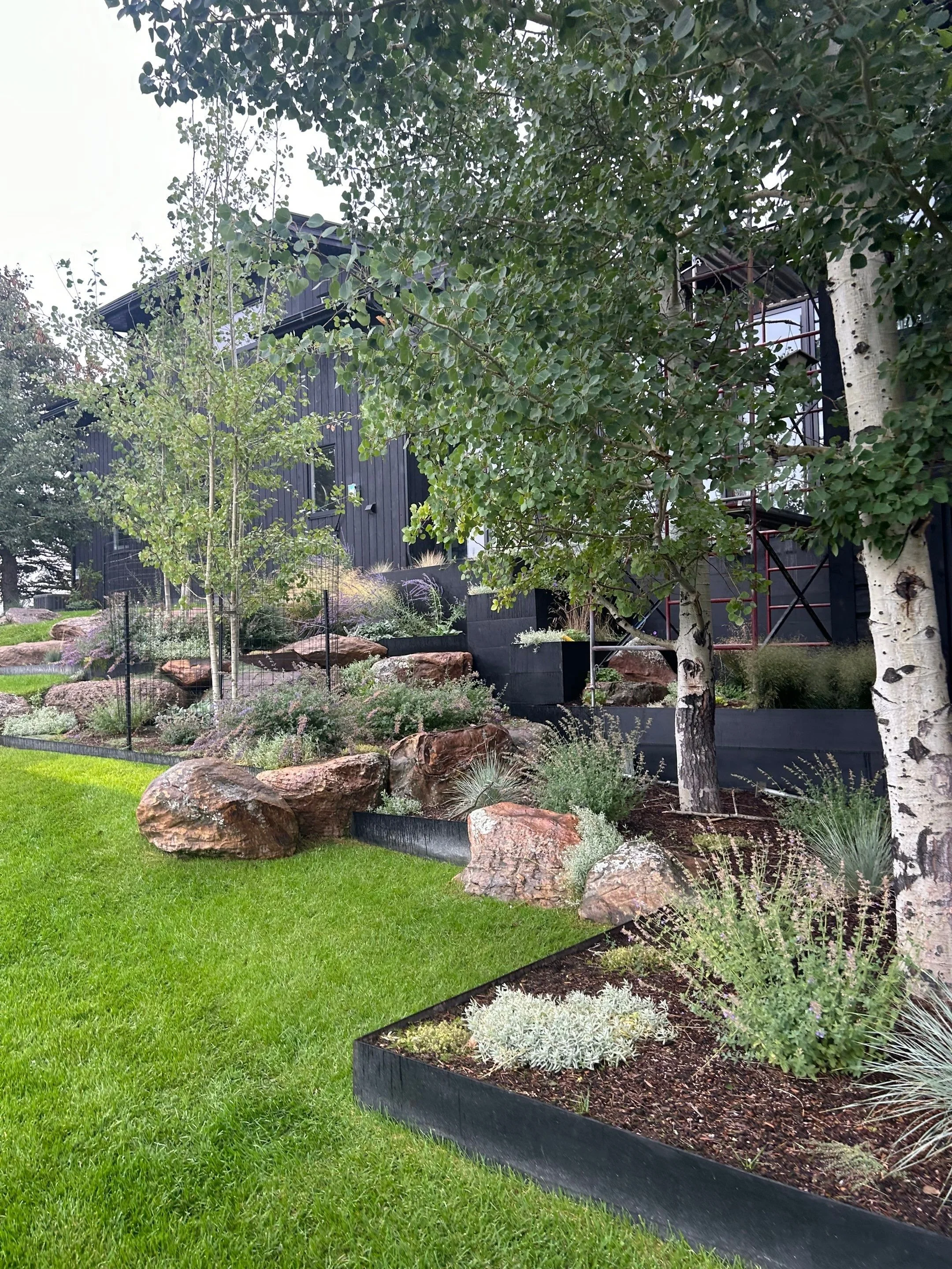 down-net_http20251114-83-v14pz3 (1).jpg