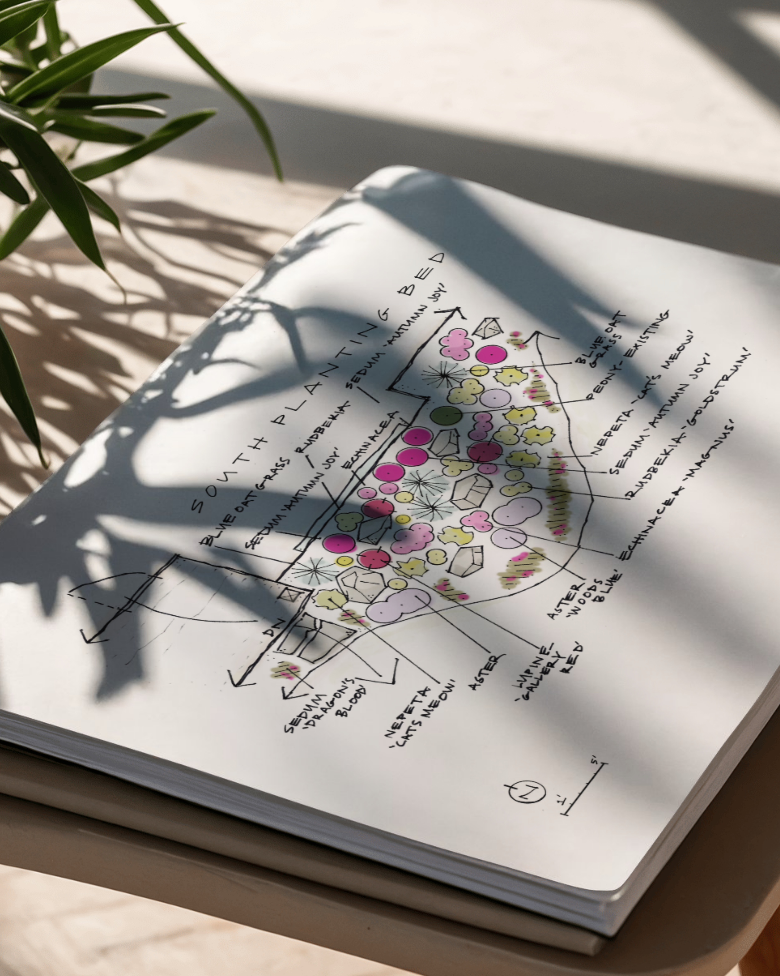 A detailed diagram with labels and colored illustrations explaining the layout and design elements of a space, possibly for a plant or garden arrangement, on a piece of paper partially shaded by a plant.
