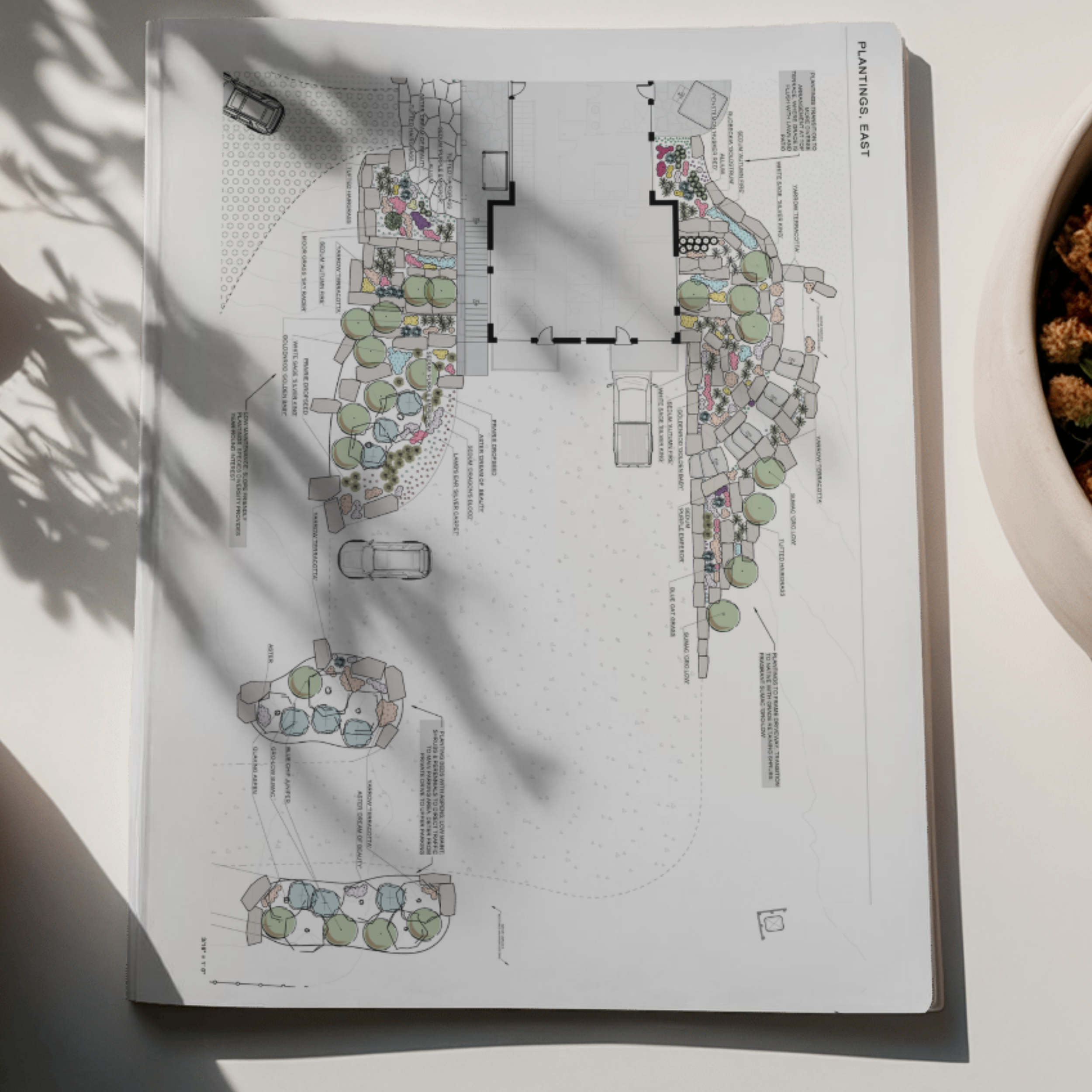 Landscape architectural plan for outdoor landscaping with various trees, plants, and pathways, labeled 'Planting East'.