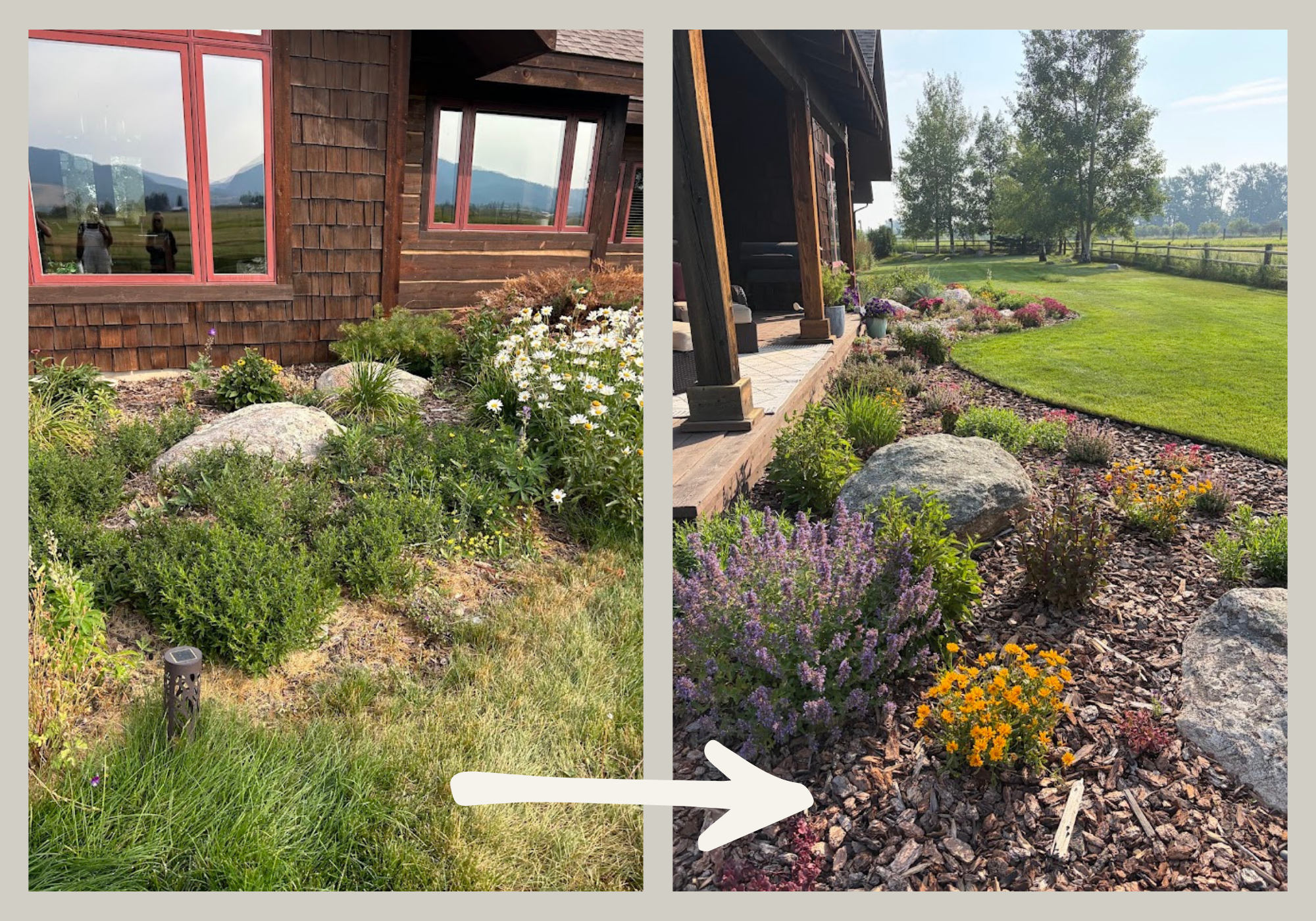 Before & Afters (2).png