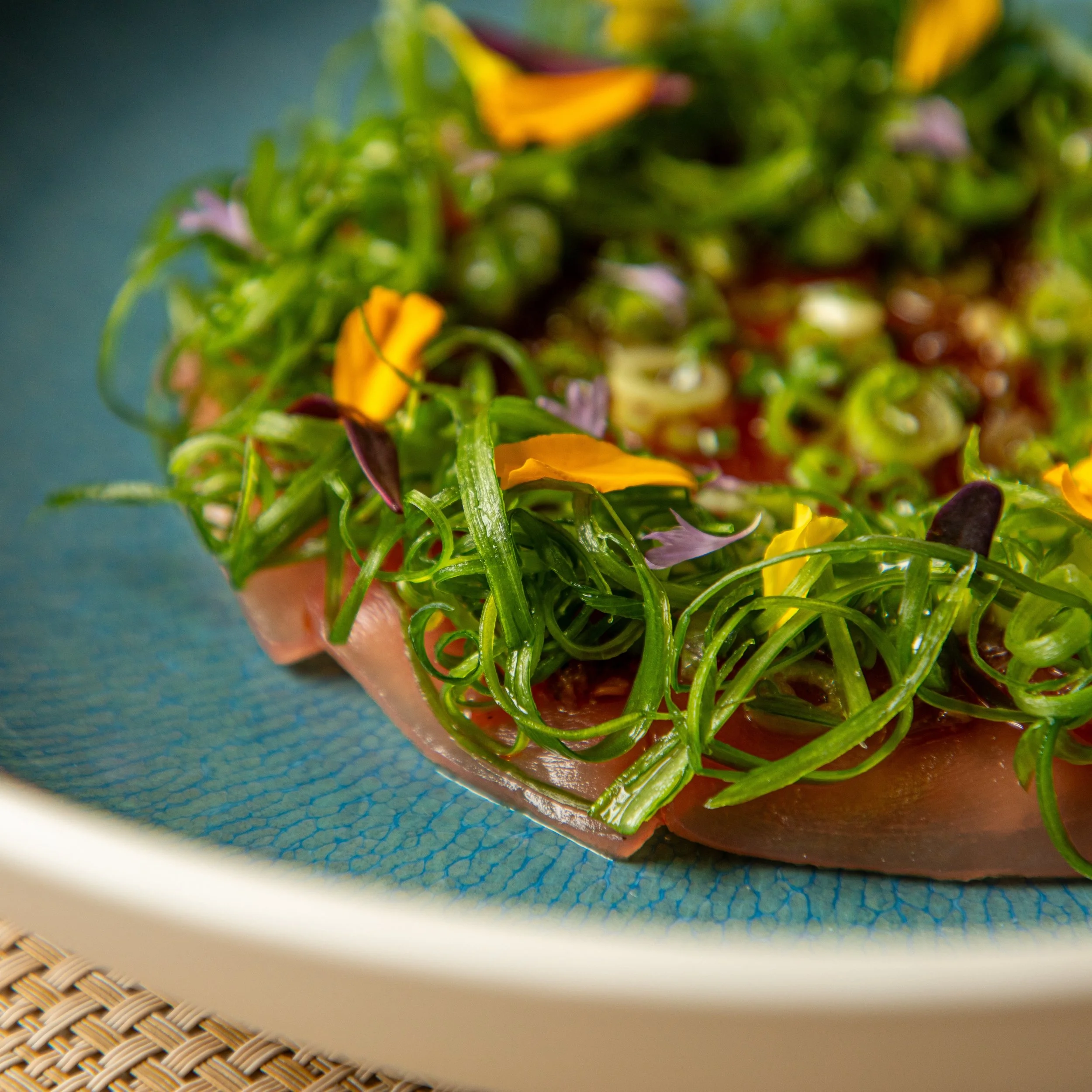 Tuna Solera (Randy Schmidt).jpg