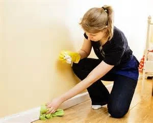 Baseboard Cleaning.jpg