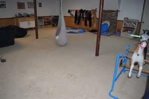 Basement Cleaning.png