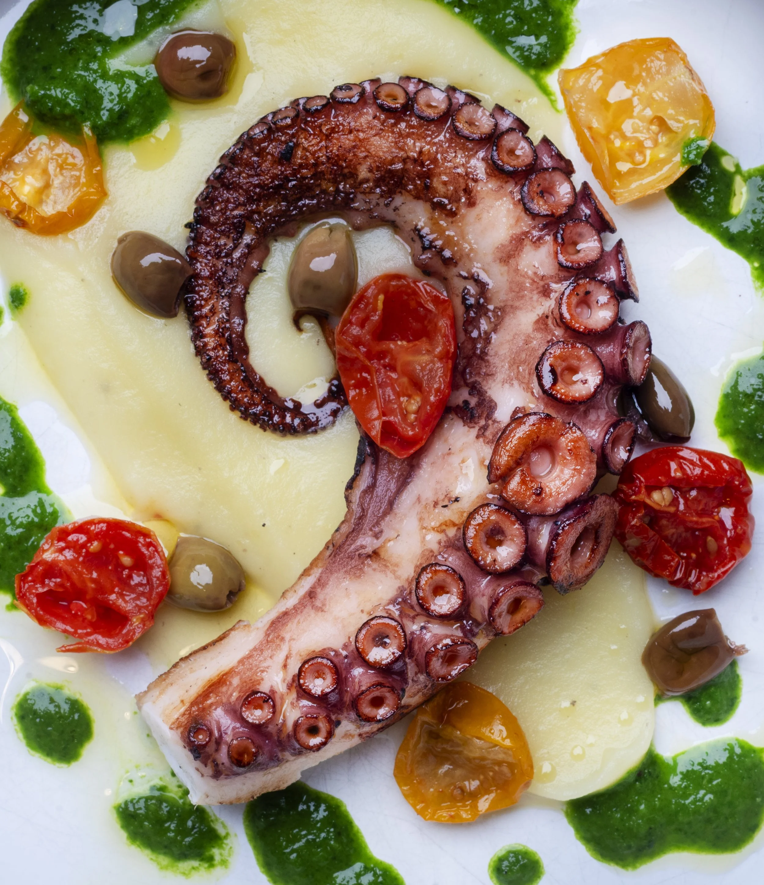 Trancio di polpo con contorno di sugo verde e pomodorini su purea di patate.