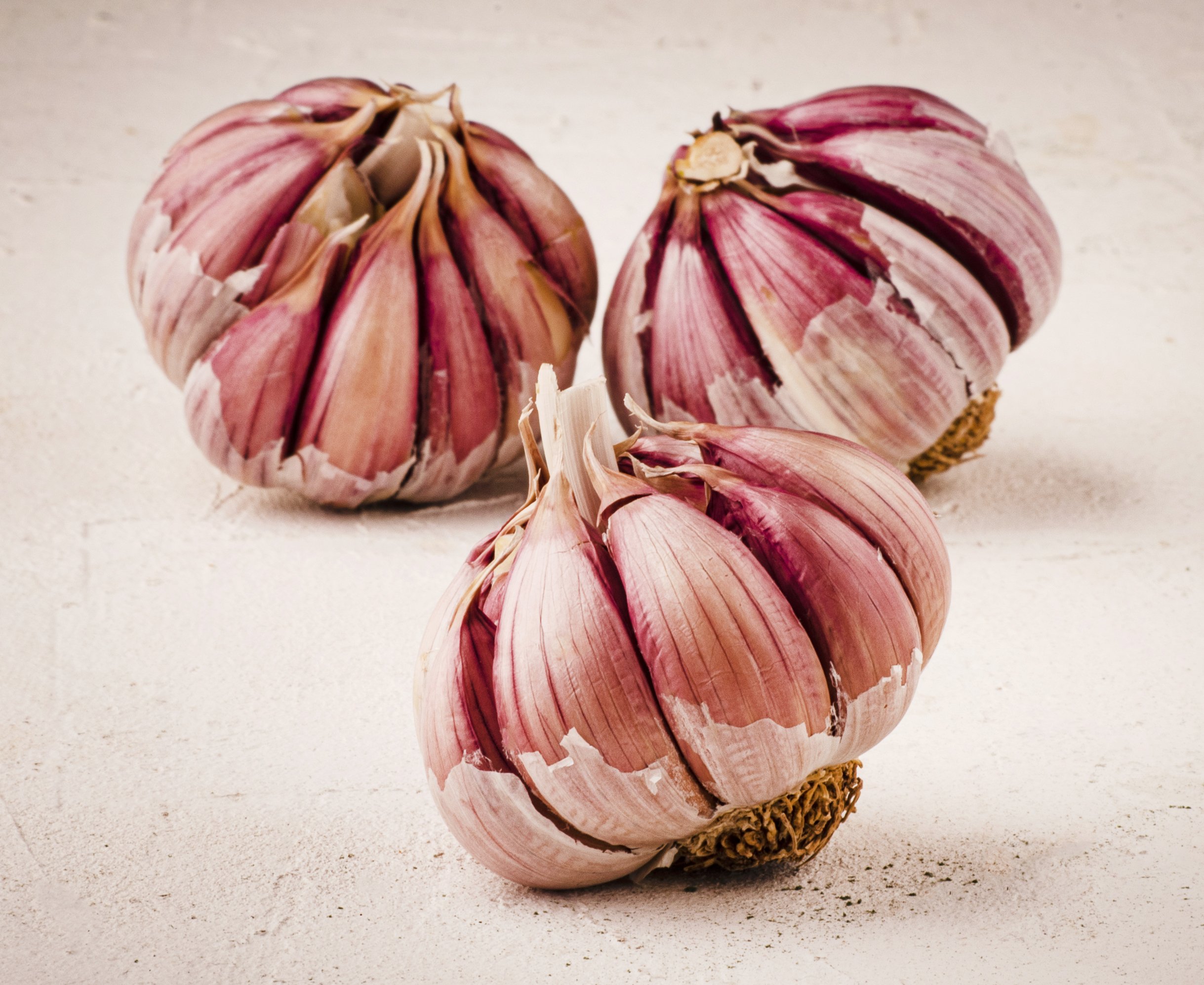 Aglio con pelle rosa e testa bianca su sfondo chiaro.