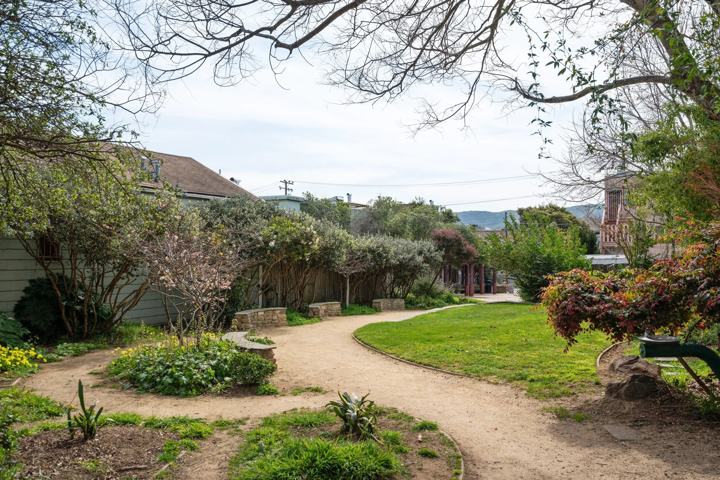 A winding dirt pathway through a lush garden with flowering trees and green grass, surrounded by houses and hills in the background.