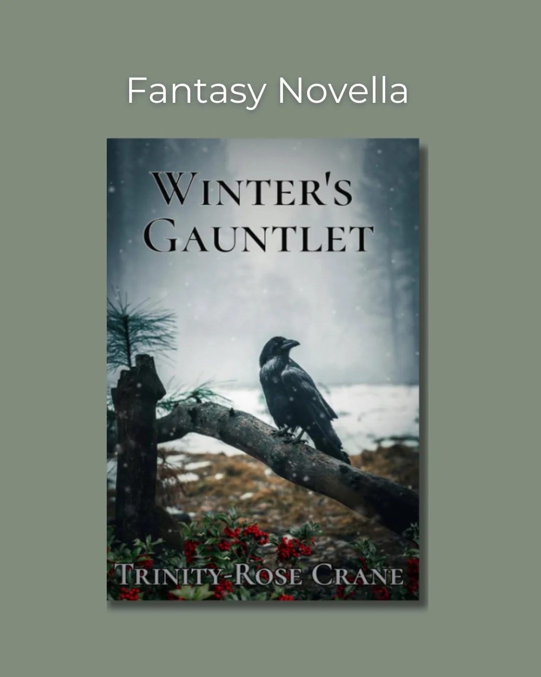 Winter's Gauntlet by Trinity-Rose Crane Cover