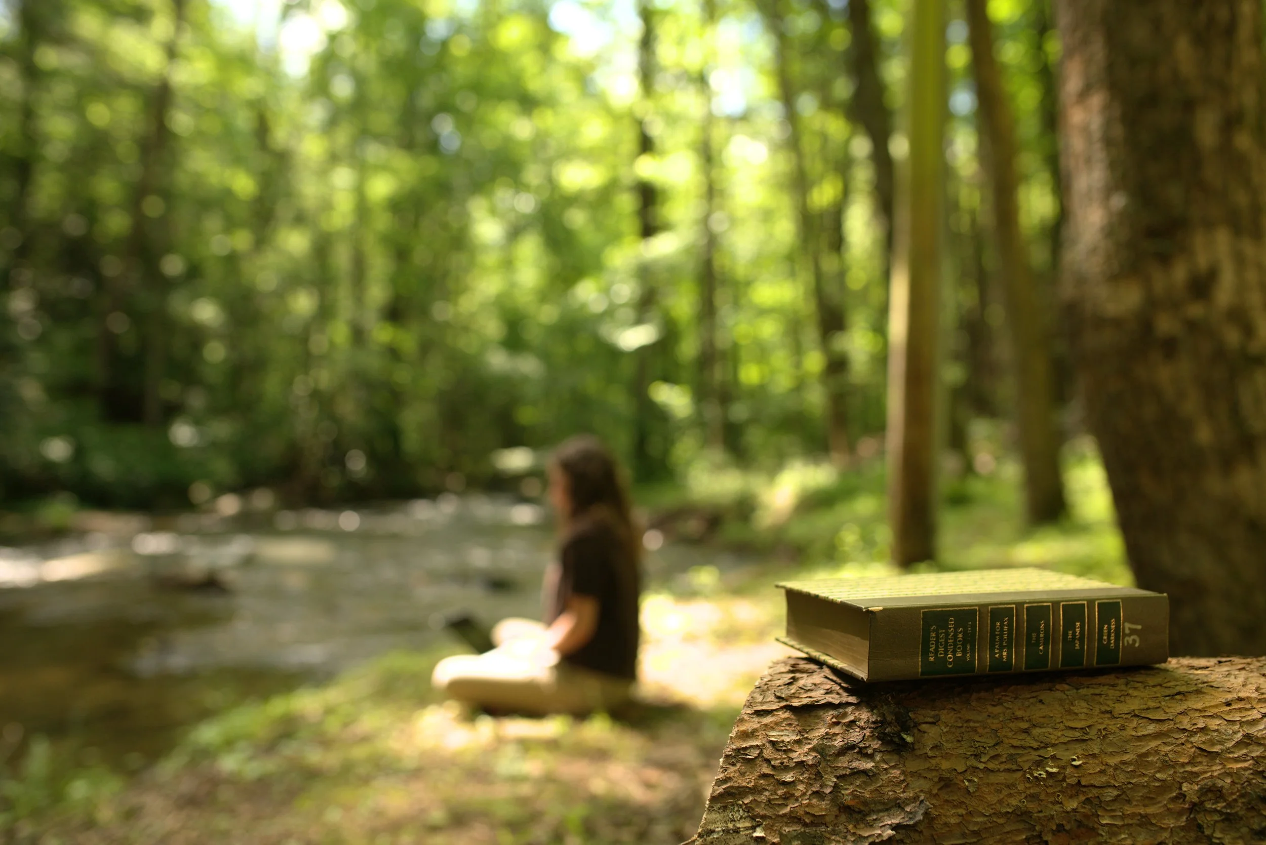 A book resting on a fallen tree trunk in a forest next to a woman sitting by a stream, with trees and greenery in the background.
