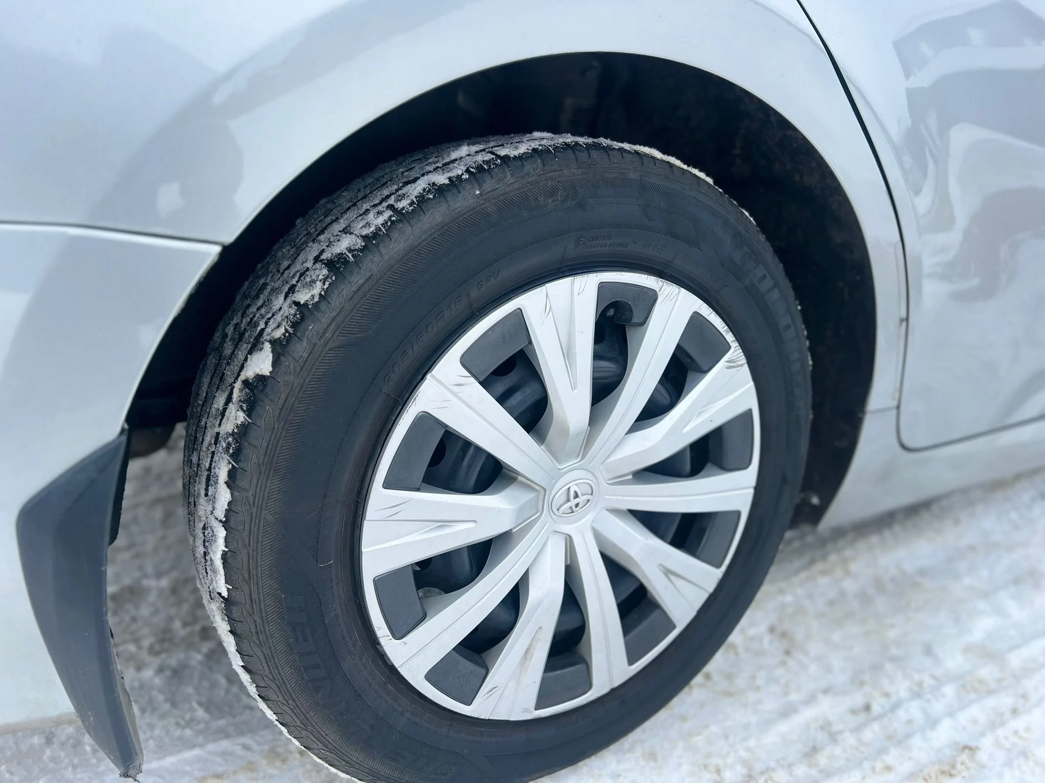 WhatsApp Image 2026-02-10 at 1.22.53 PM (5).jpeg