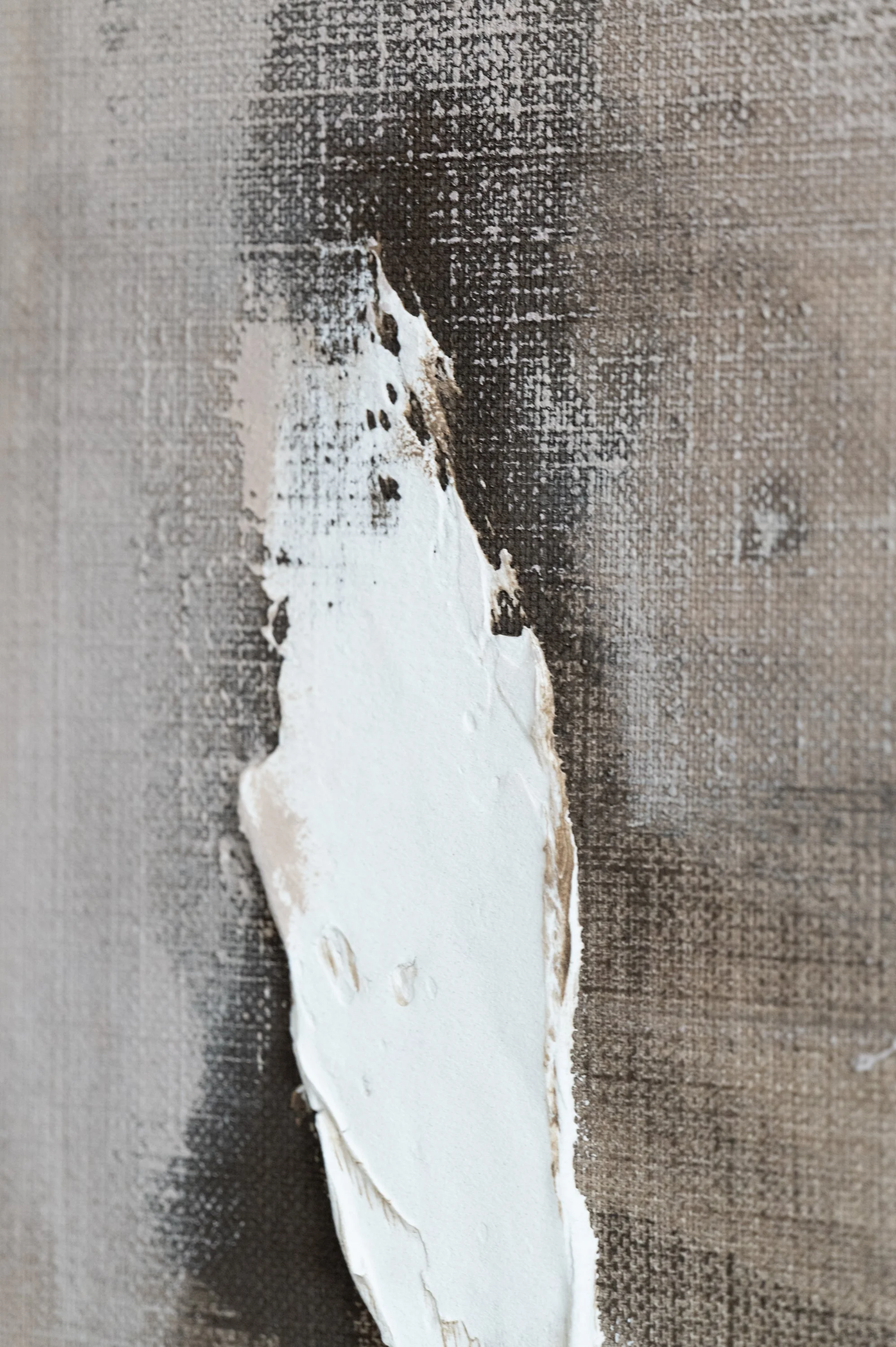 S1071010 - Lowres.jpg