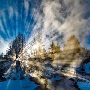 Snow-covered trees with sun rays shining through and clouds in the sky in a winter landscape.