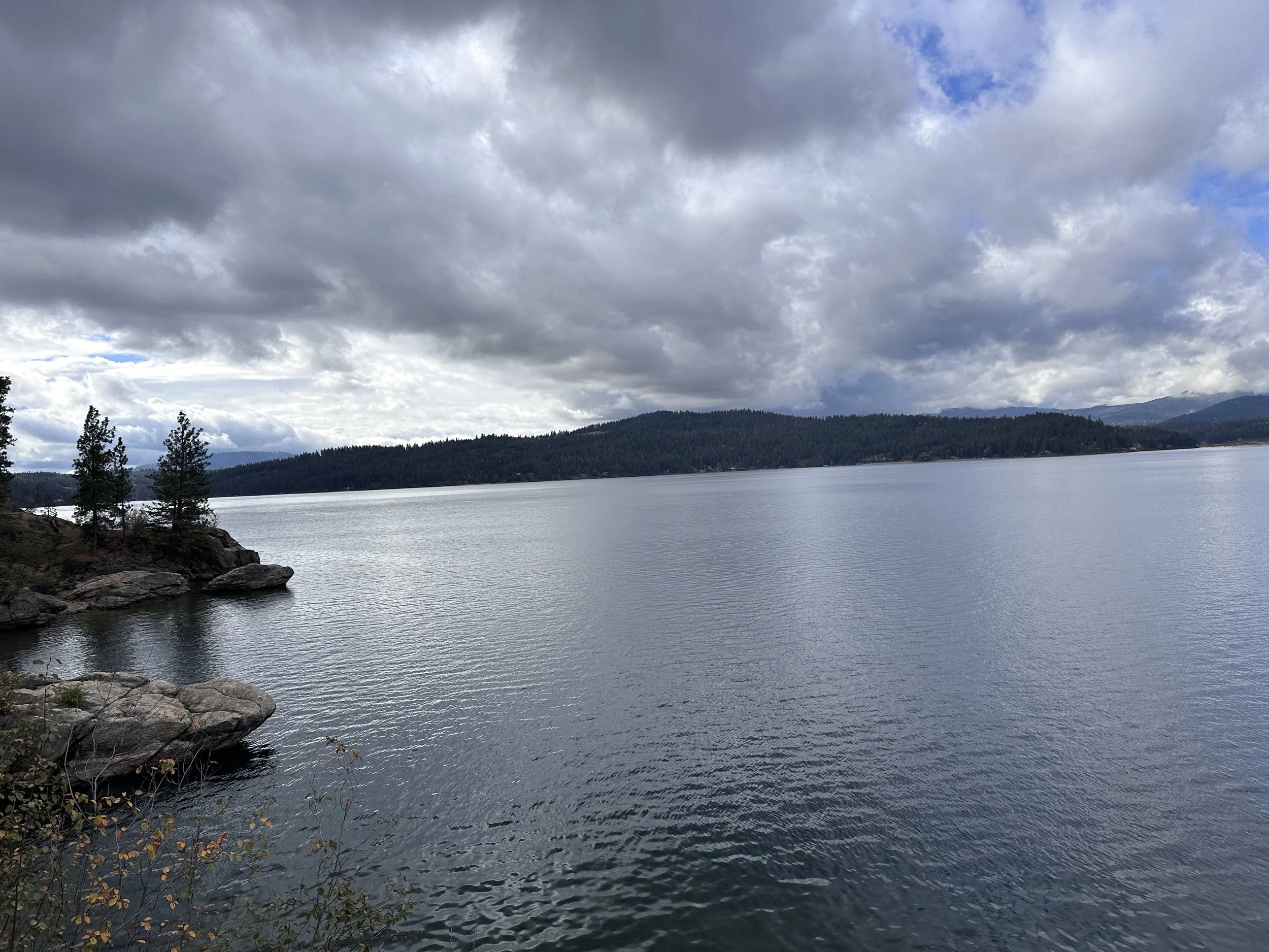 Anxiety treatment
Depression treatment
ADHD evaluation and treatment
PTSD therapy
Bipolar disorder management
Insomnia treatment
Medication management for mental health