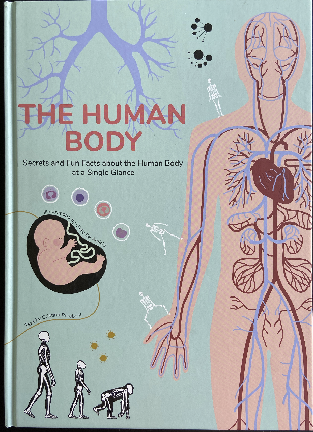 Screenshot 2026-03-16 at 12.09.44.png