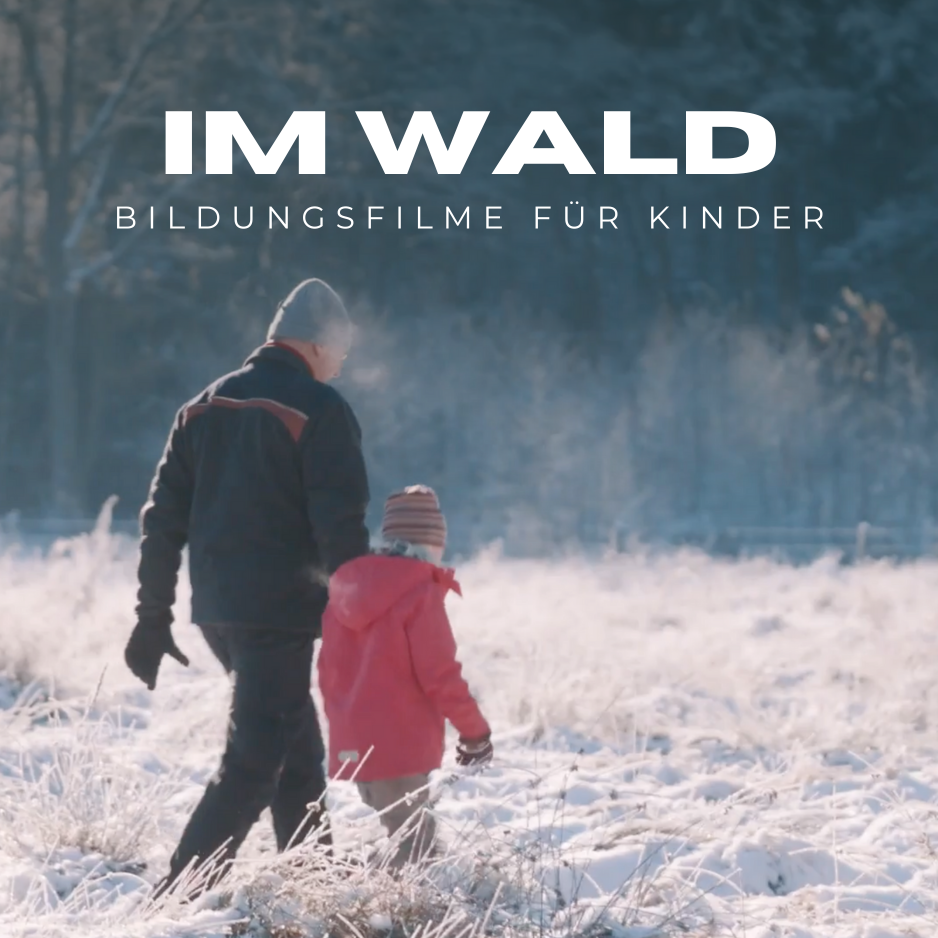 Im Wald