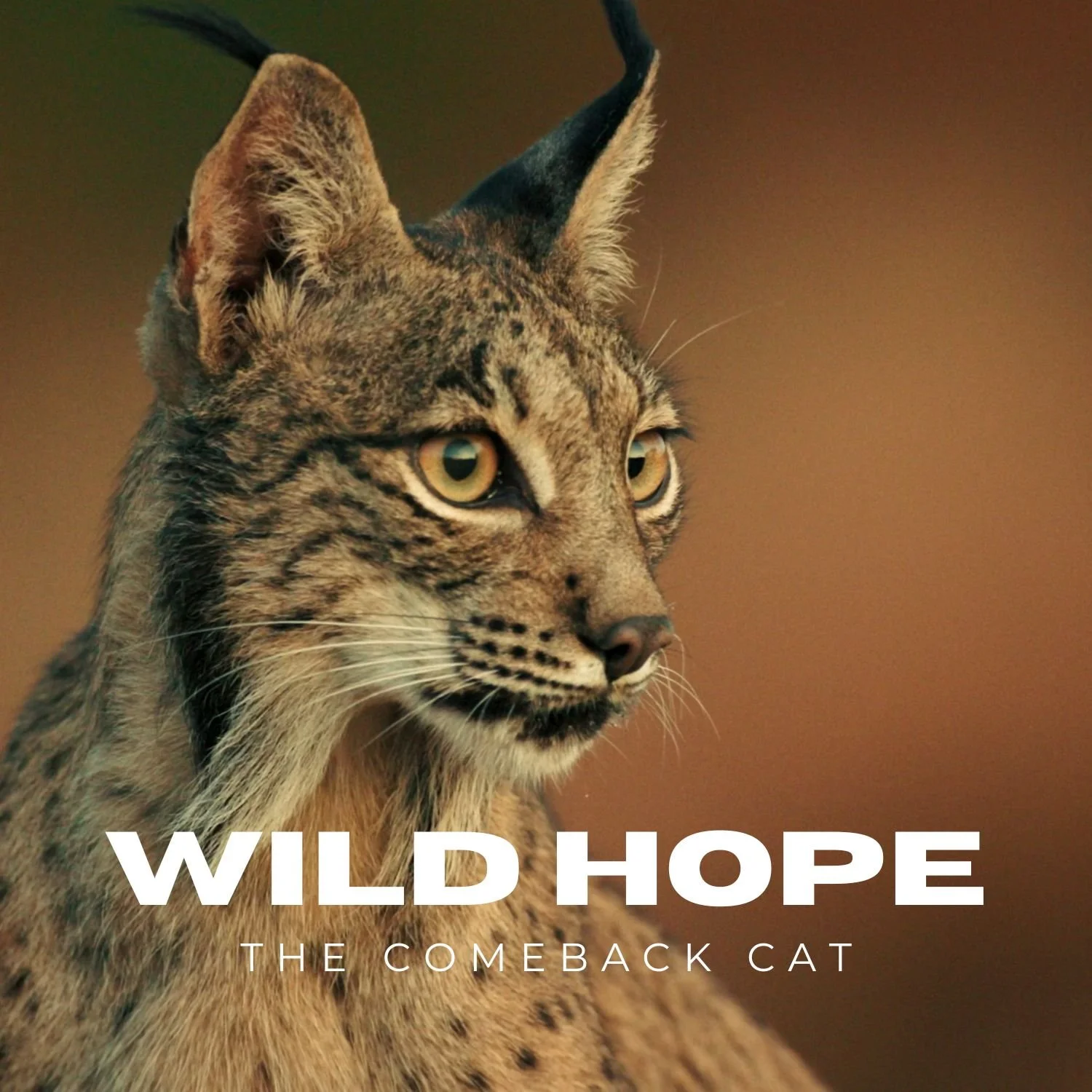 Wild Hope