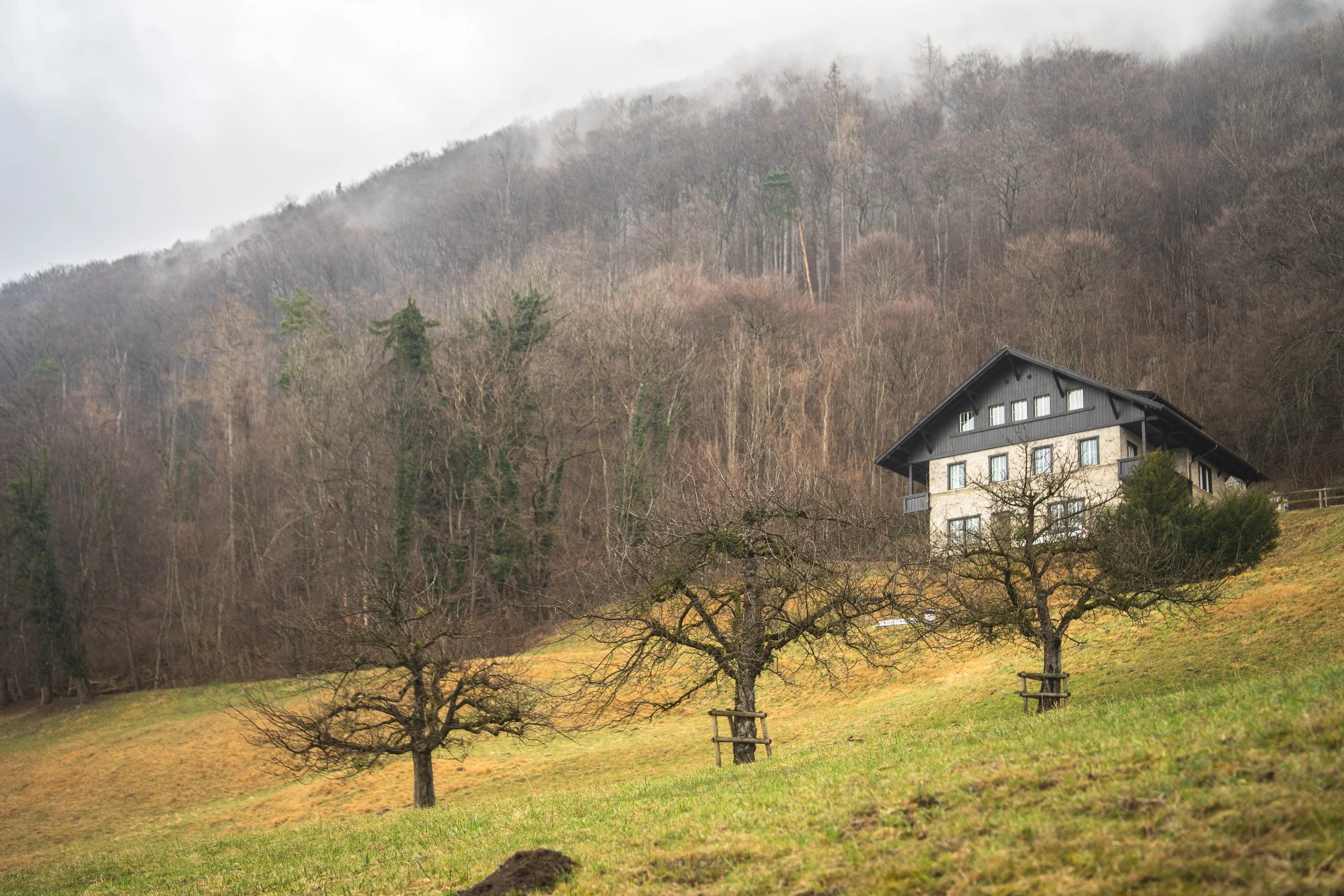 A house on a hillside with leafless trees in the foreground and a forested mountain in the background, overcast sky.