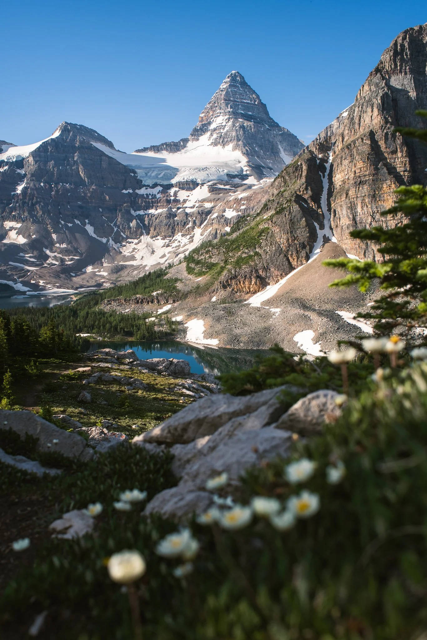 DSC_9215-3.jpg