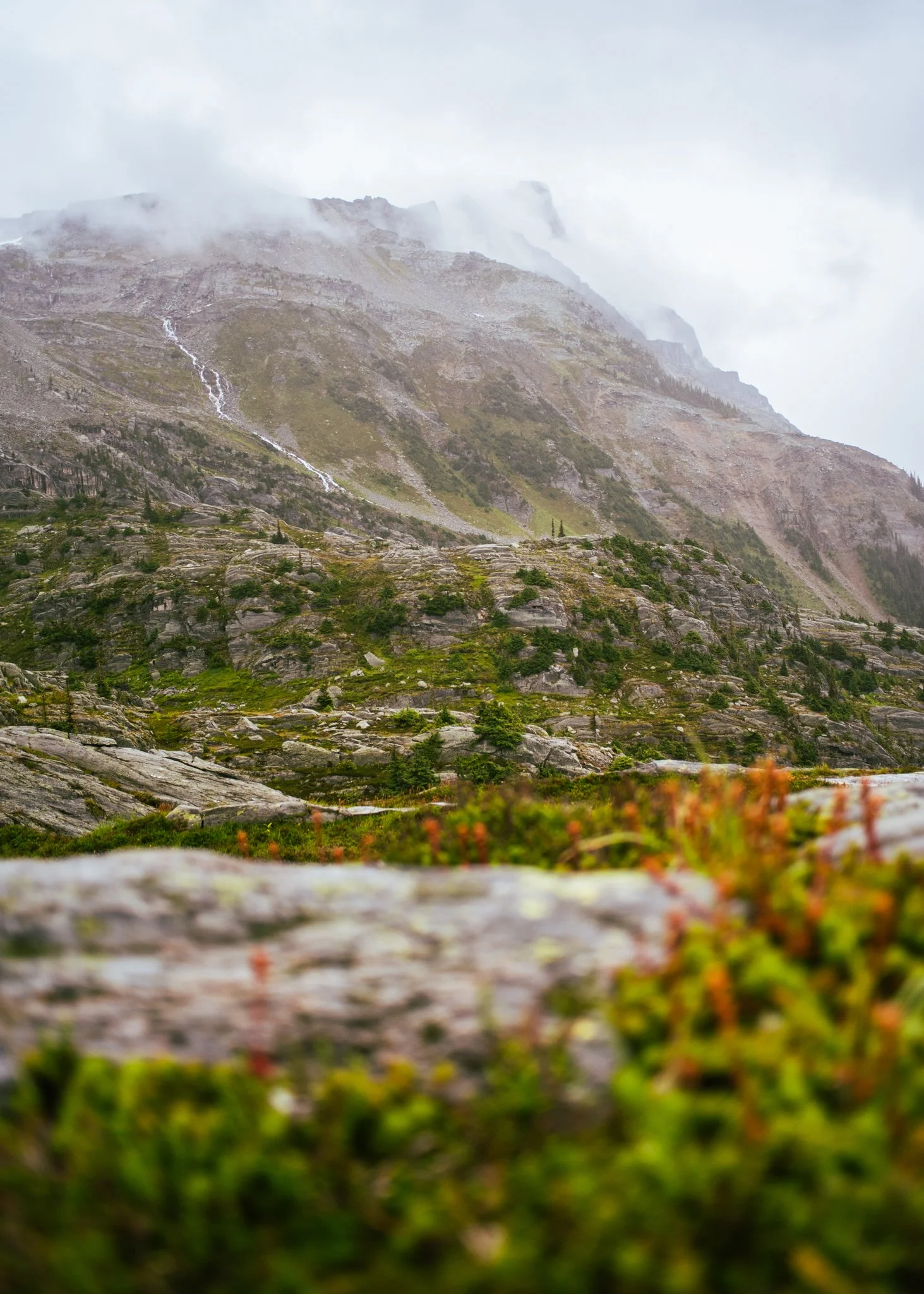 DSC_3405-2.jpg