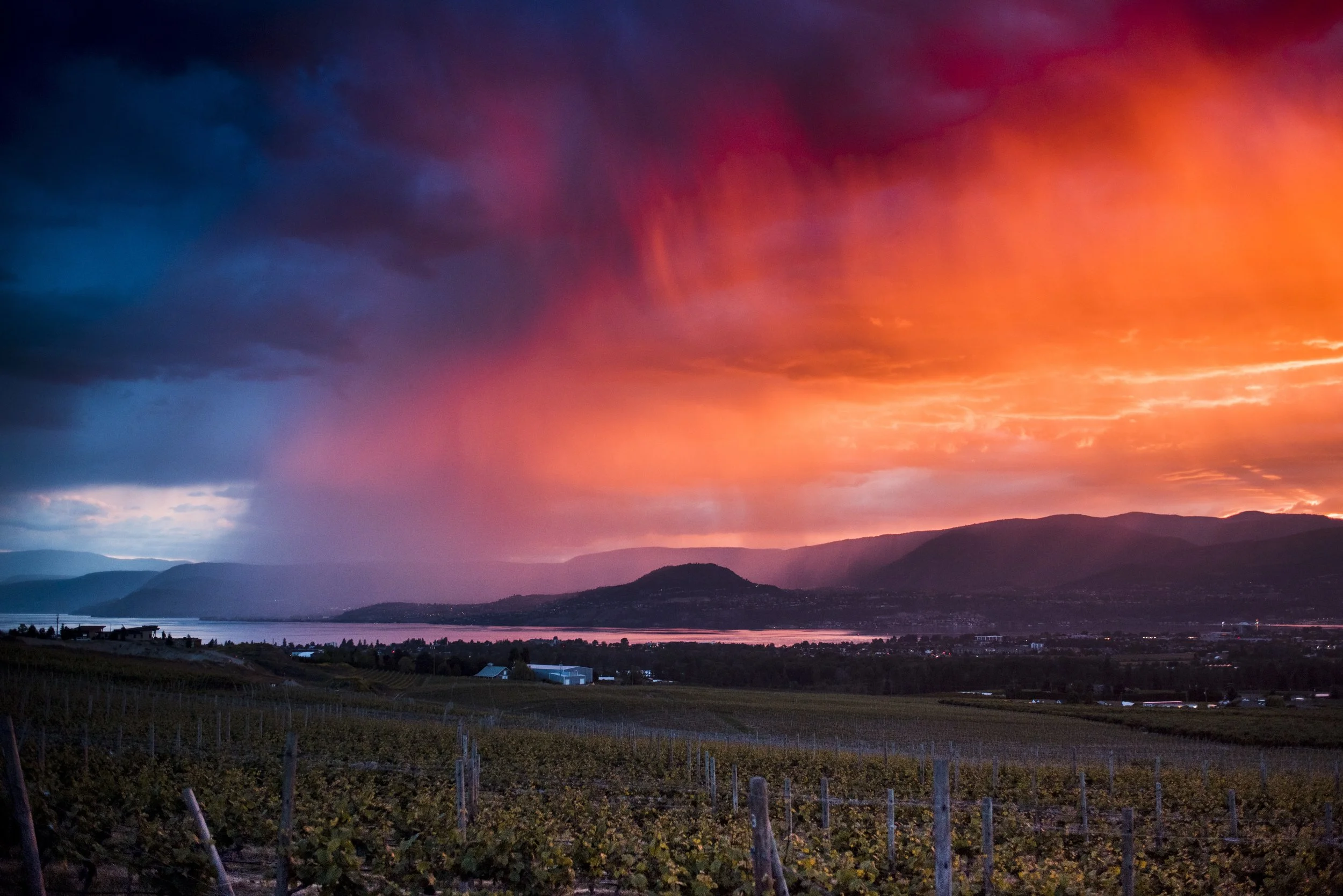 untitled (1 of 1)-51.jpg