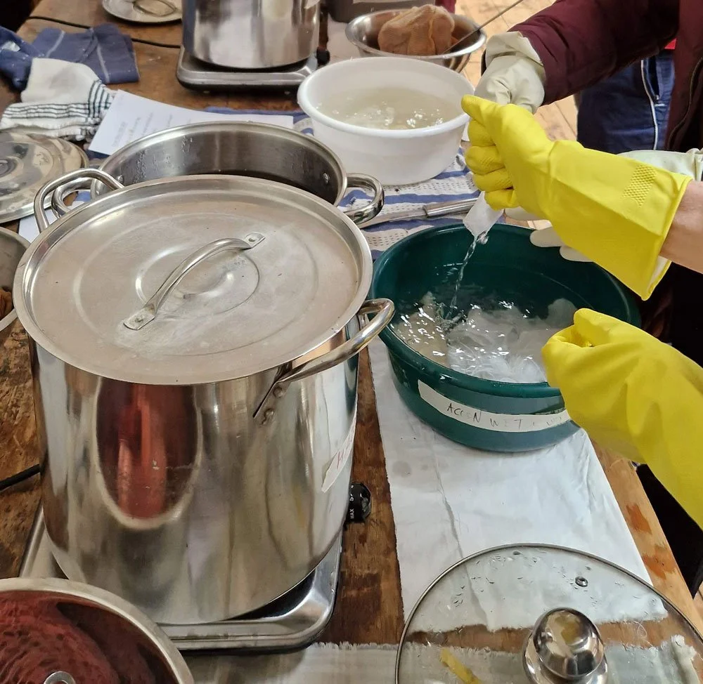 Natural dye workshop
Led by Ginny & Sam