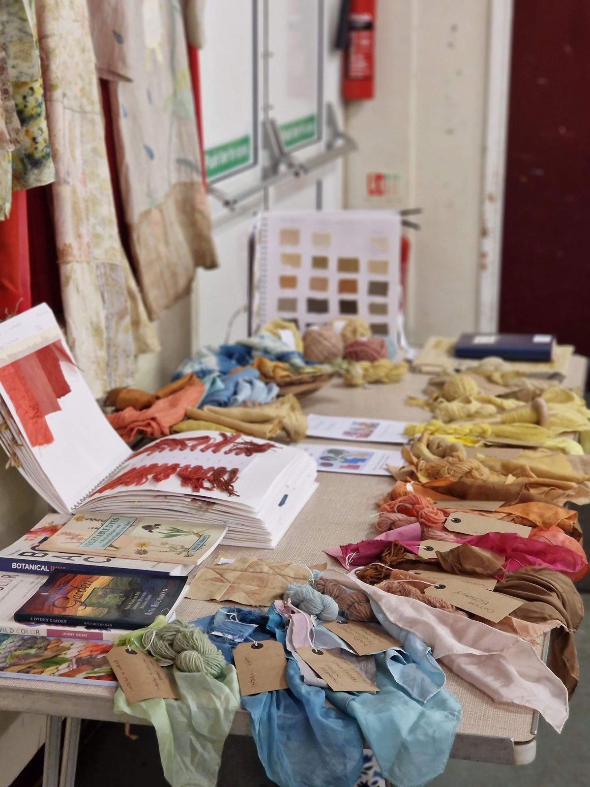 Talks and demonstrations . Topics include;

Growing dye colour - natural dye plants,

Natural colour for textiles and inks.

Heritage dye plants