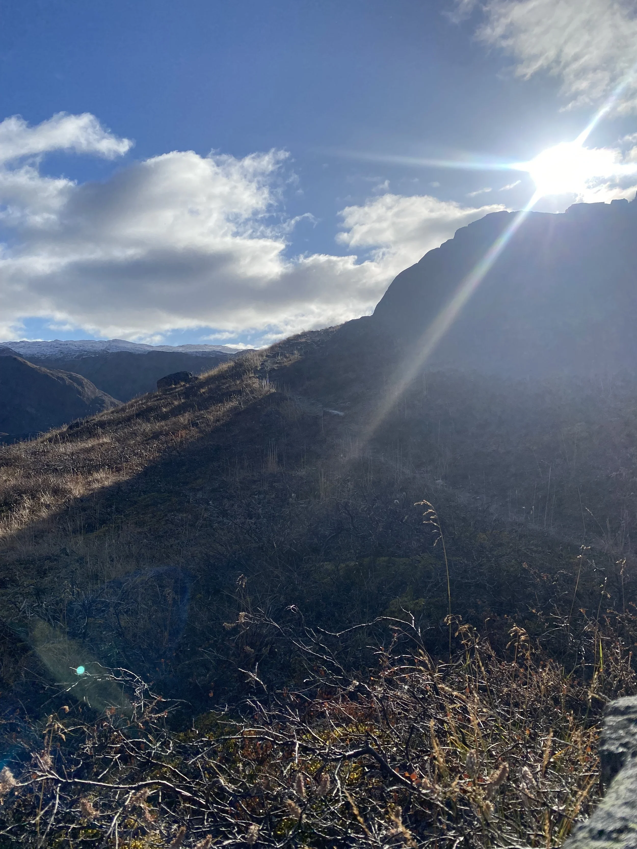 Indgang billede - Kopi.JPG